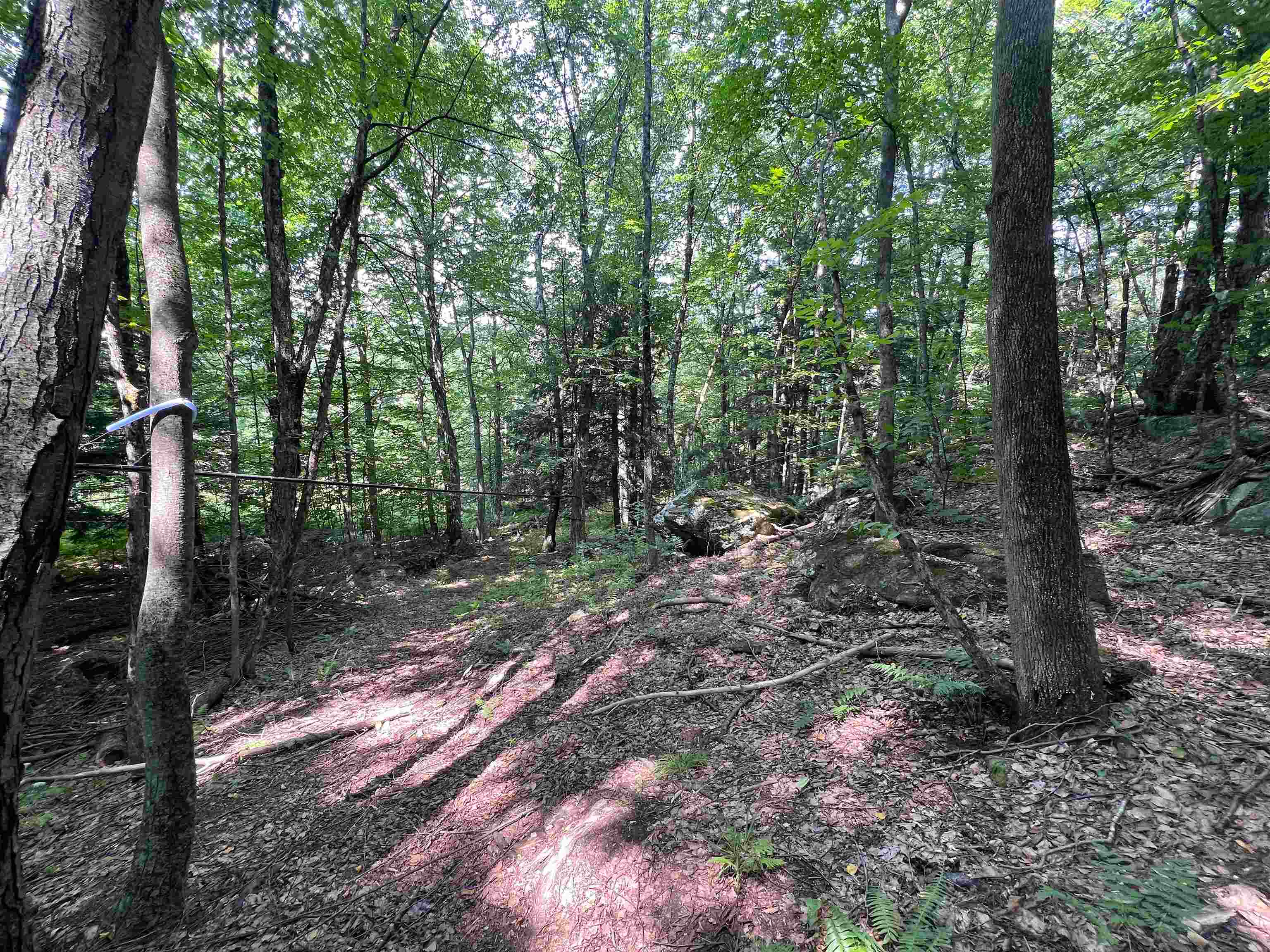 302 Davidson Hill Road photo 35