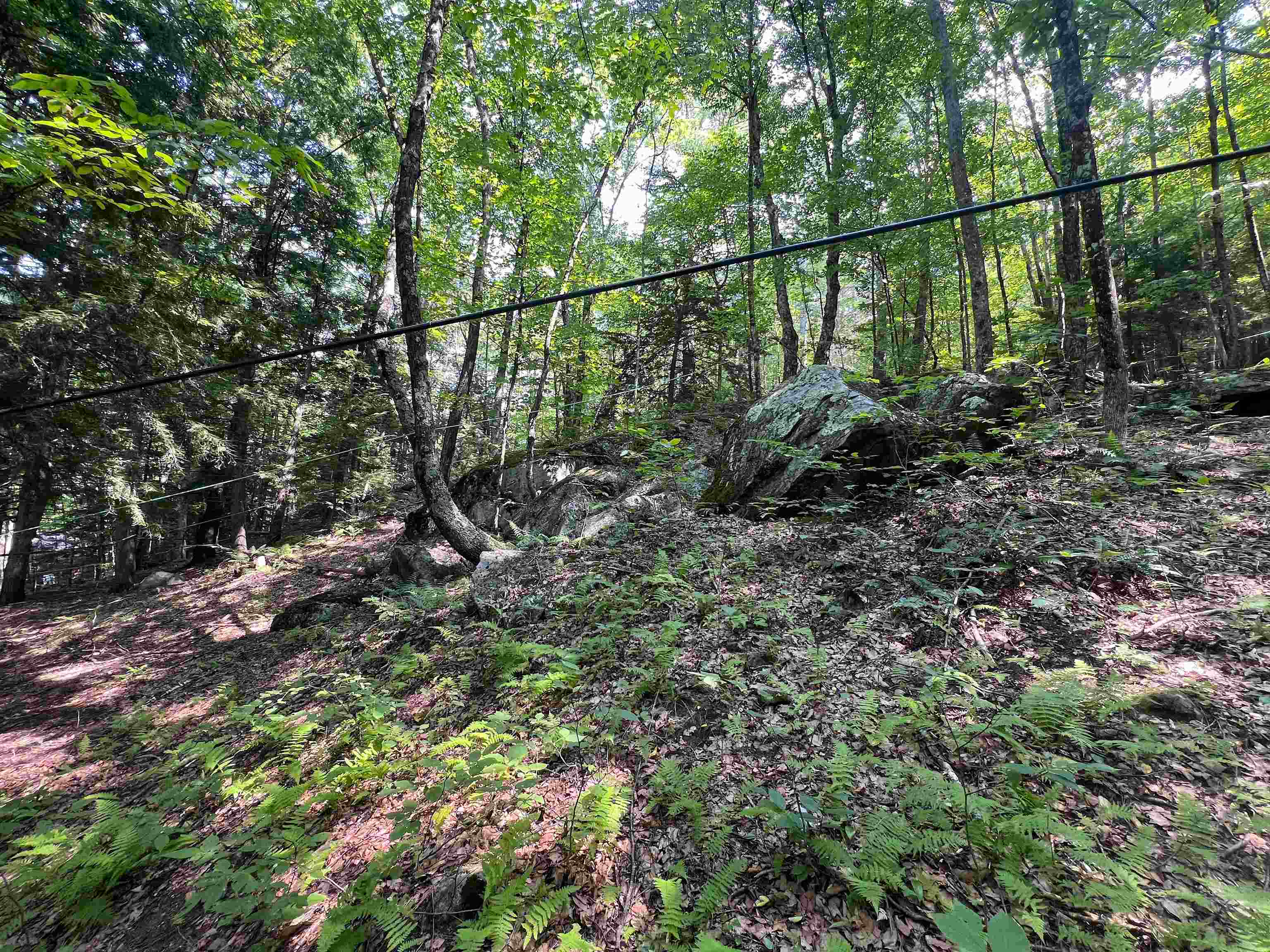 302 Davidson Hill Road photo 36