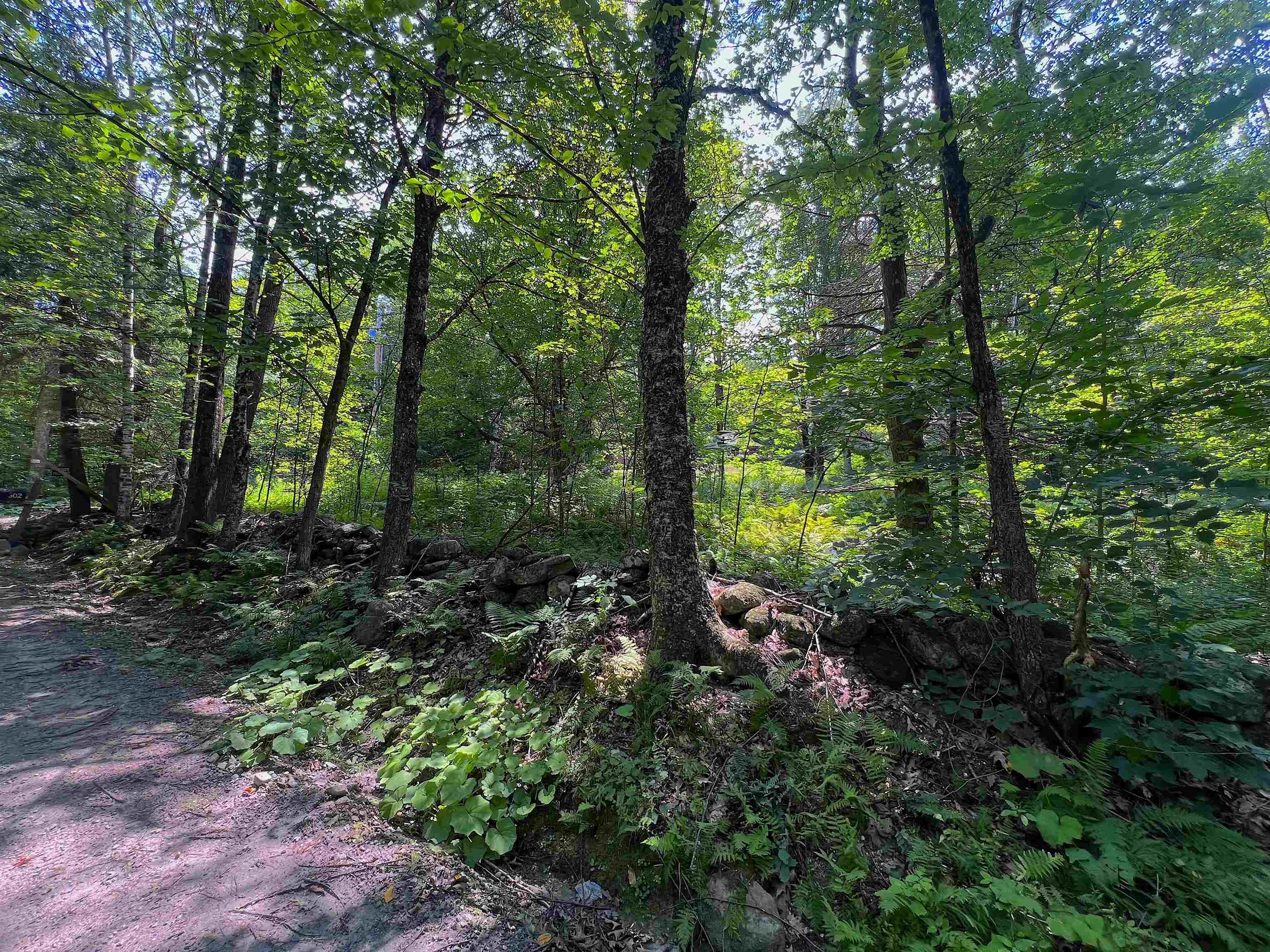 302 Davidson Hill Road photo 38