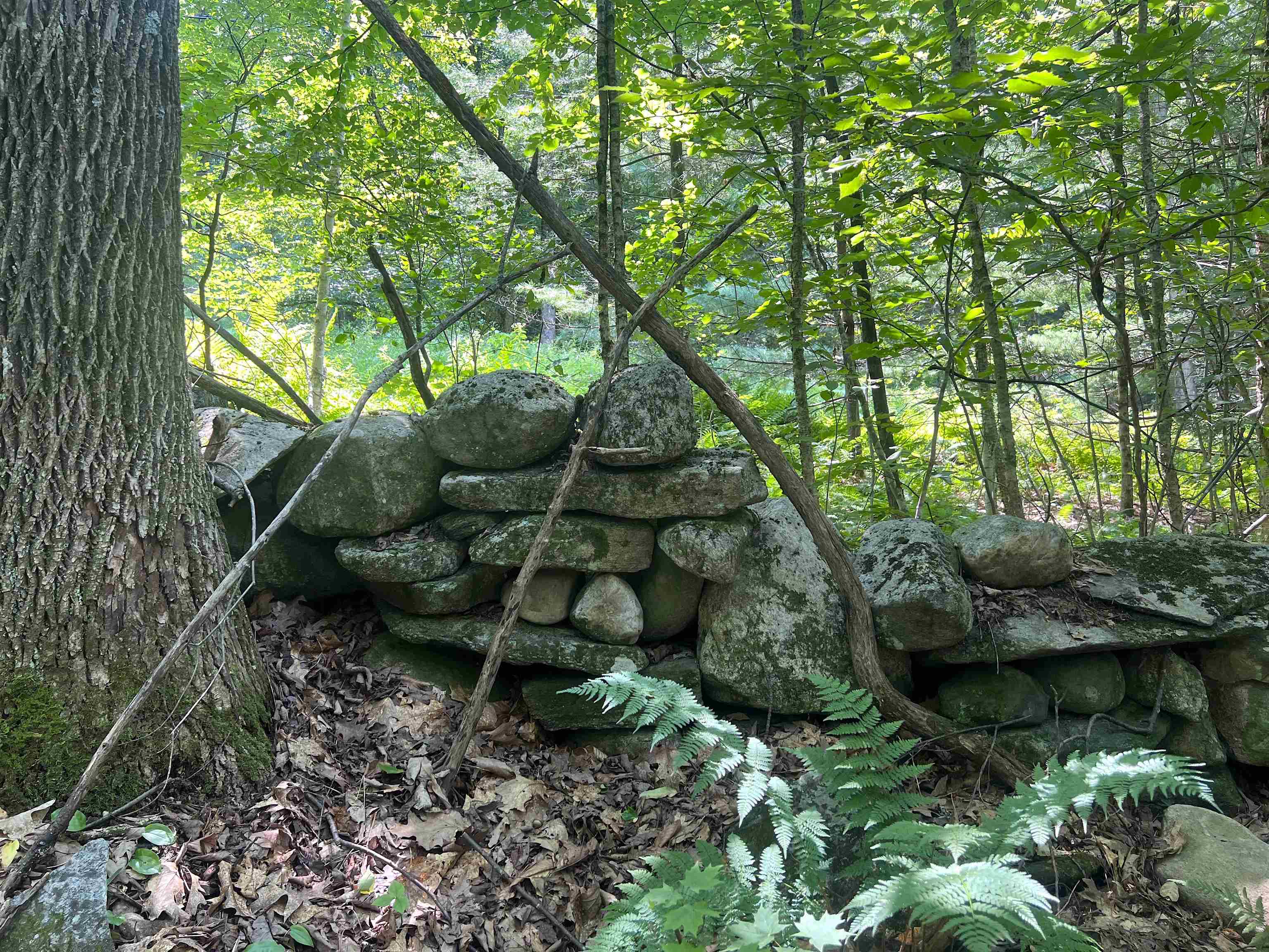 302 Davidson Hill Road photo 39