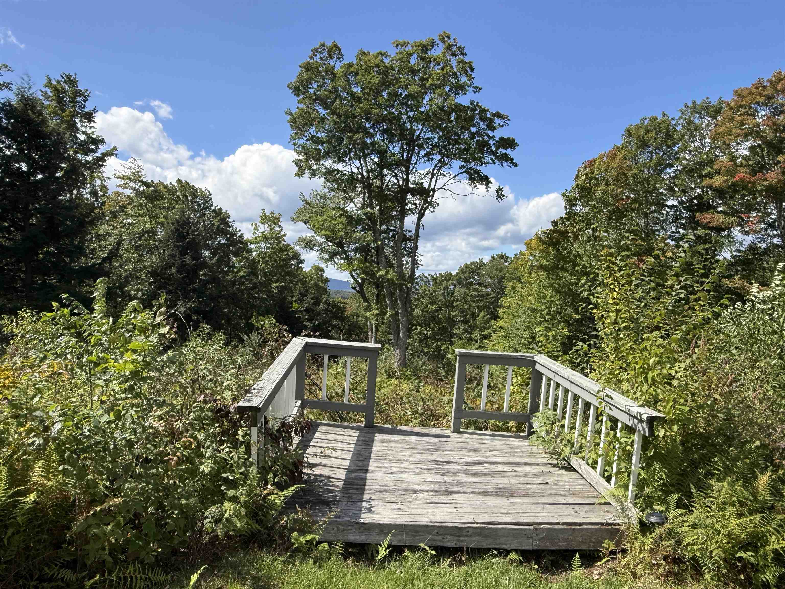 404 Woodland Drive photo 4