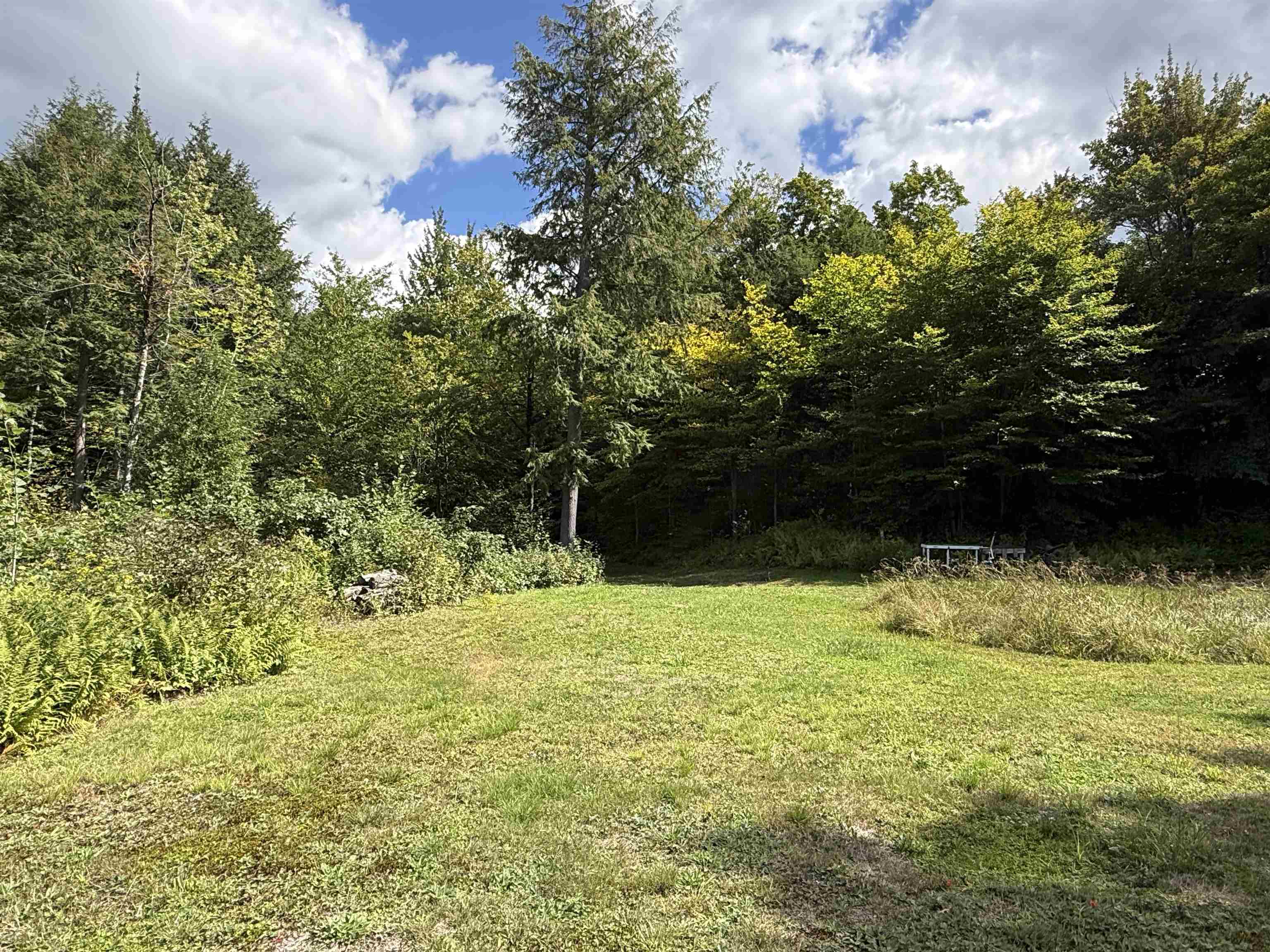 404 Woodland Drive photo 8