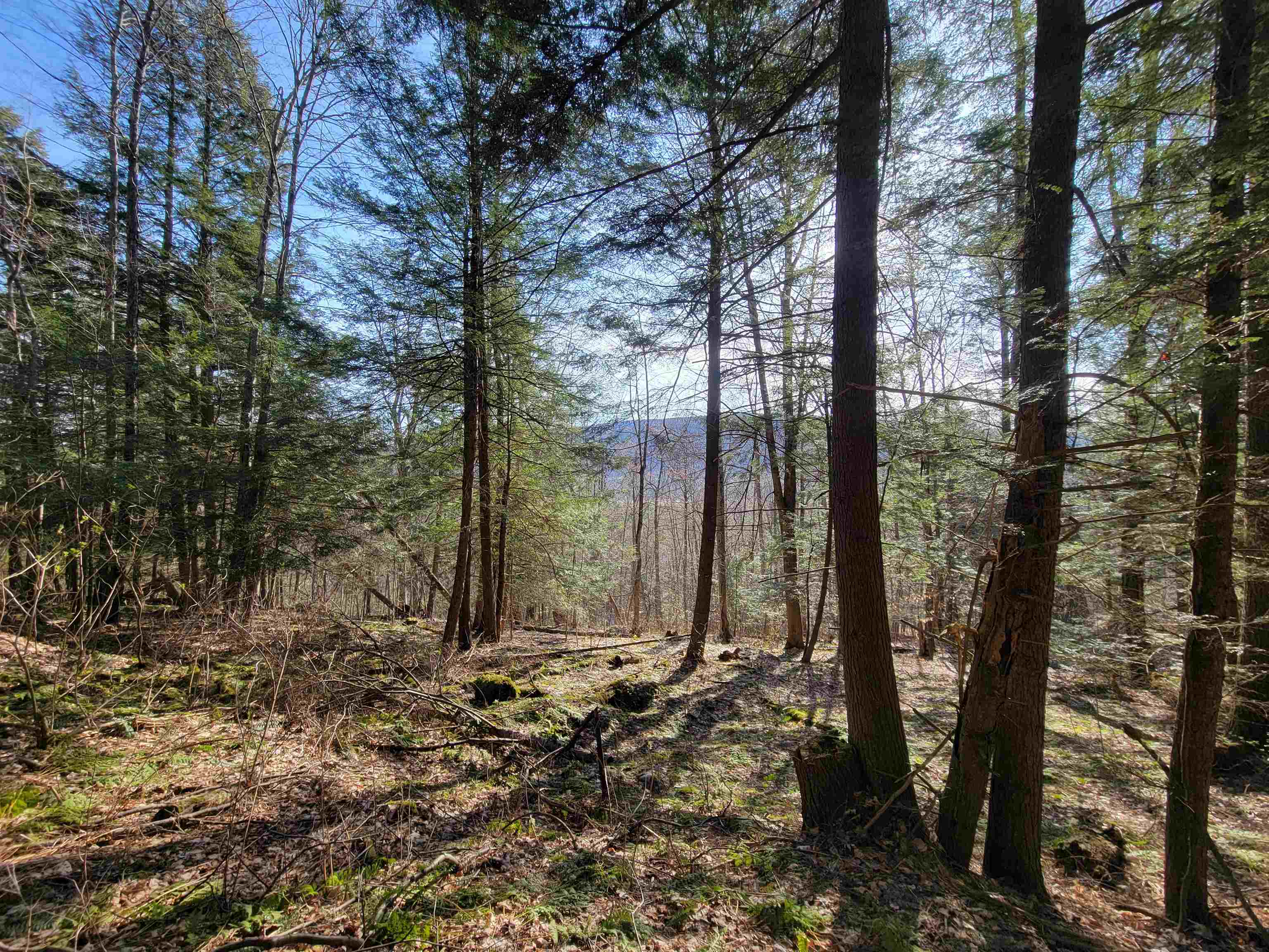 near Lot 3 Mason Hill North Starksboro, VT 05487 Property 2