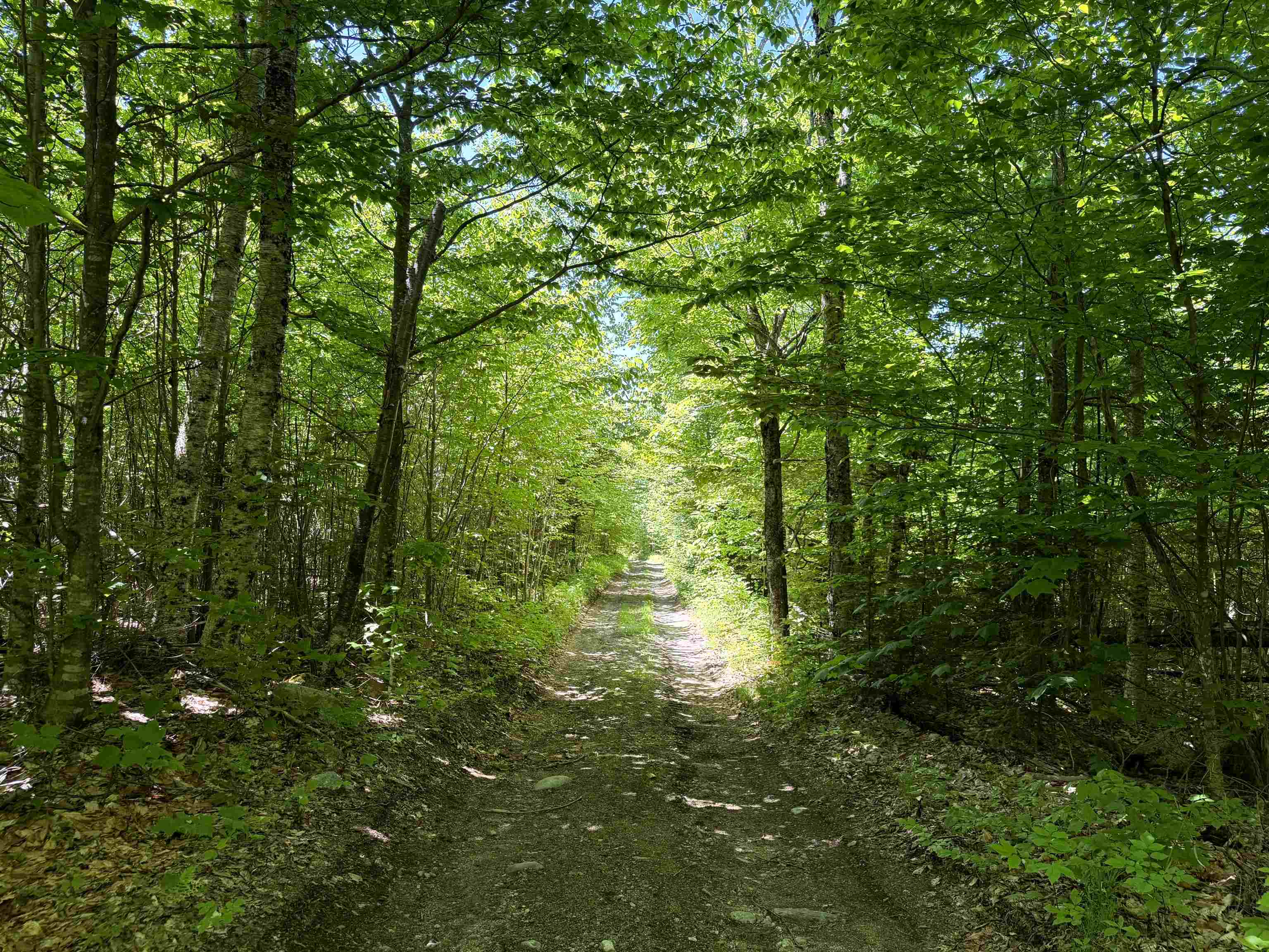 near 0 Newark Street Burke, VT 05871 Property 2 near 0 Newark Street Burke, VT 05871 Property 2