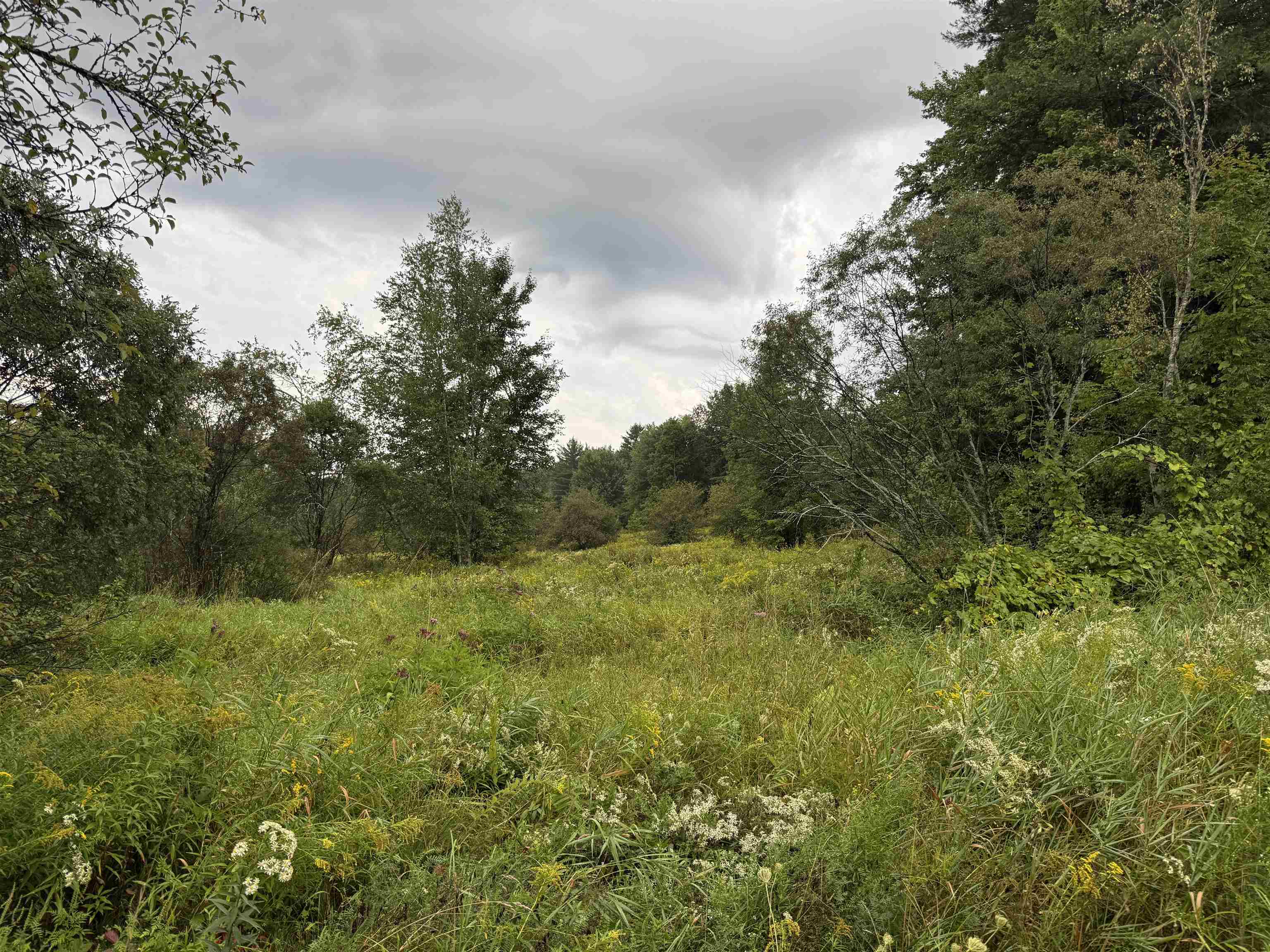 00 Merrill Road photo 1