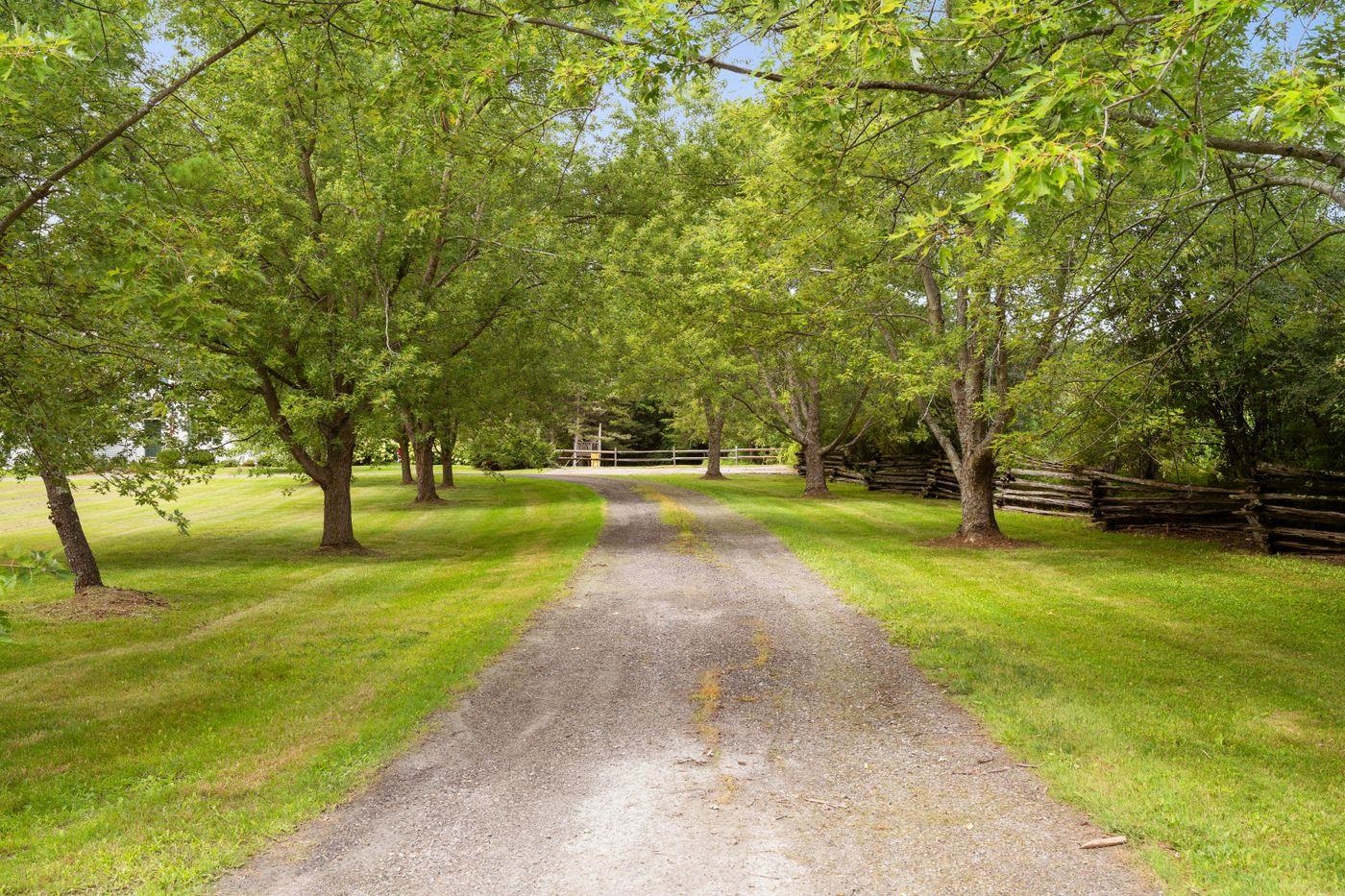 1153 Webster Road photo 25