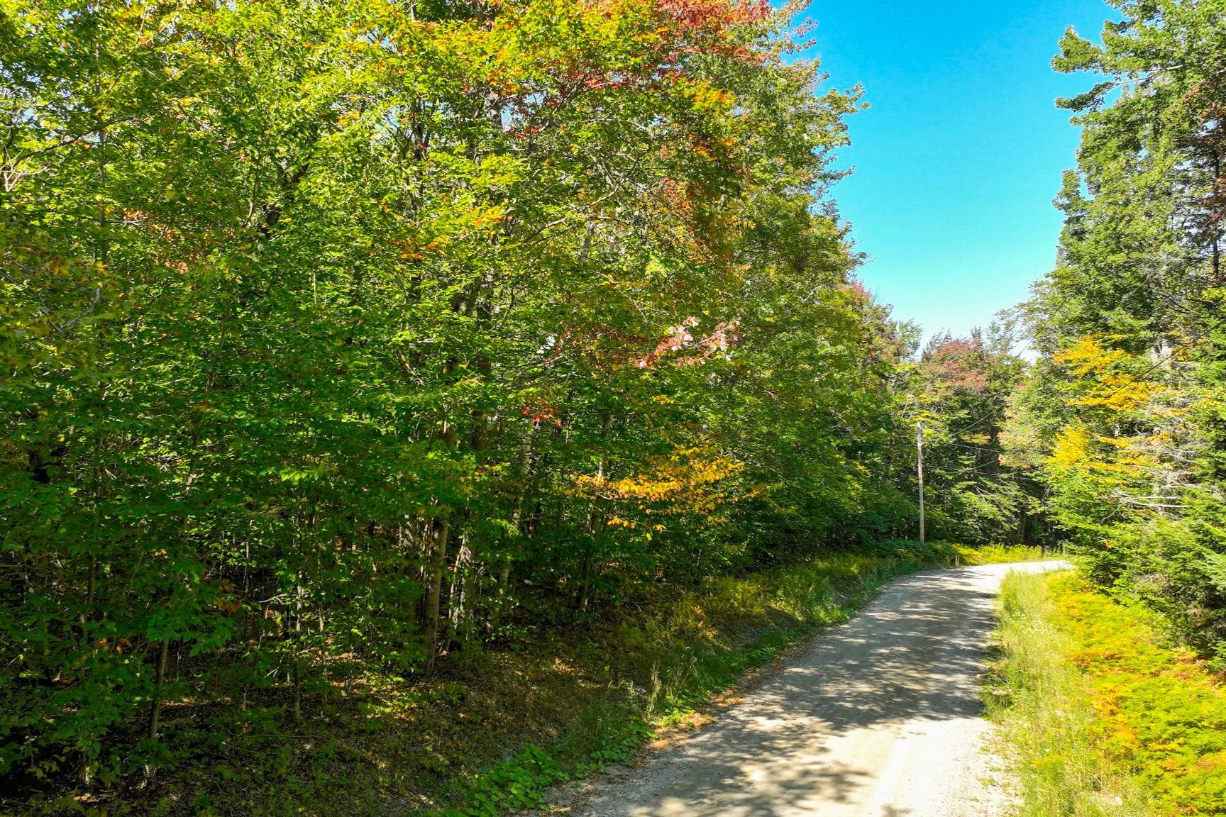near Lot 51 Partridge Road Ludlow, VT 05149 Property 2
