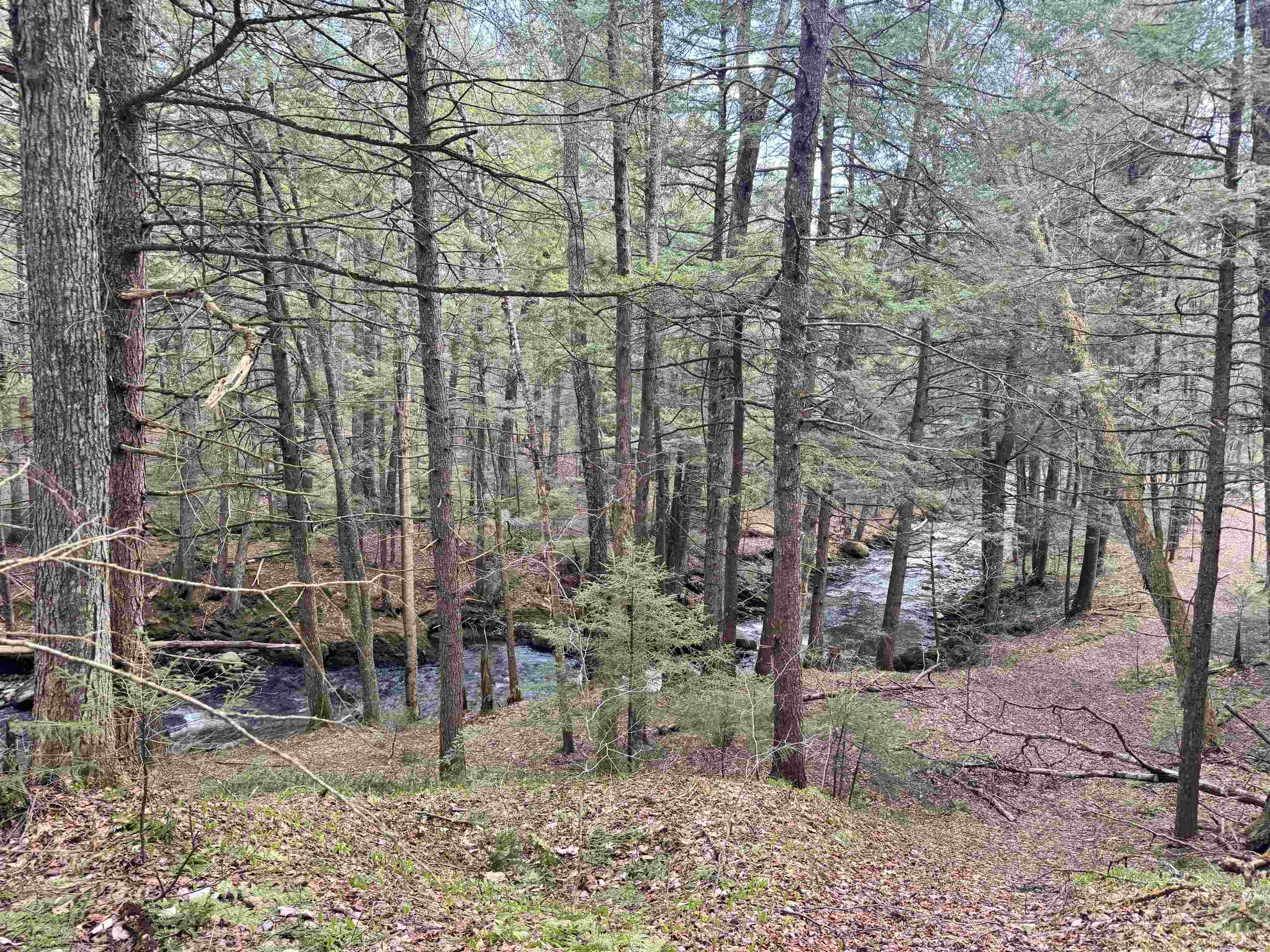 near 125 Evergreen Lane Montgomery, VT 05471 Property 1 near 125 Evergreen Lane Montgomery, VT 05471 Property 1