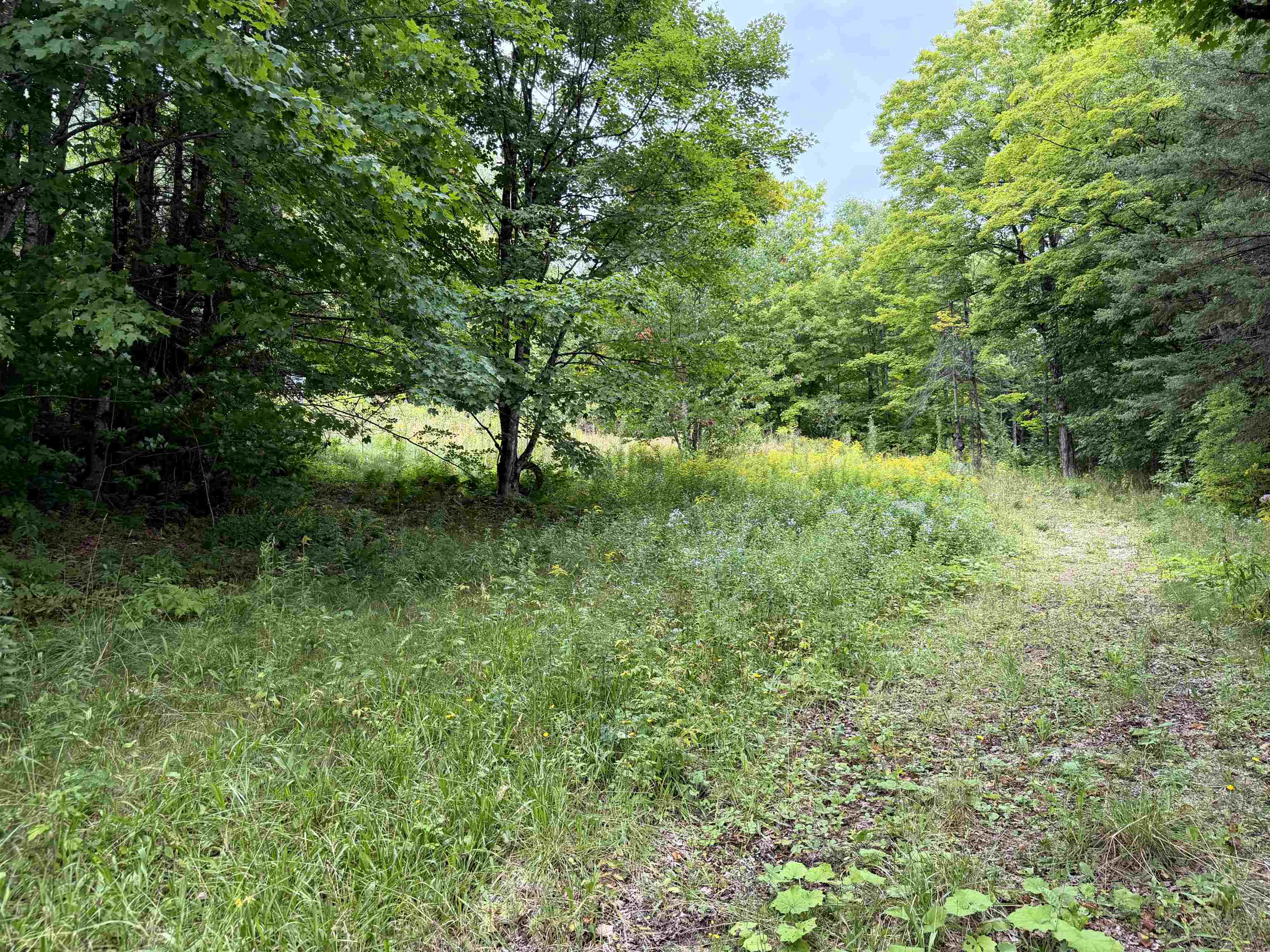 4716 Route 5 photo 1