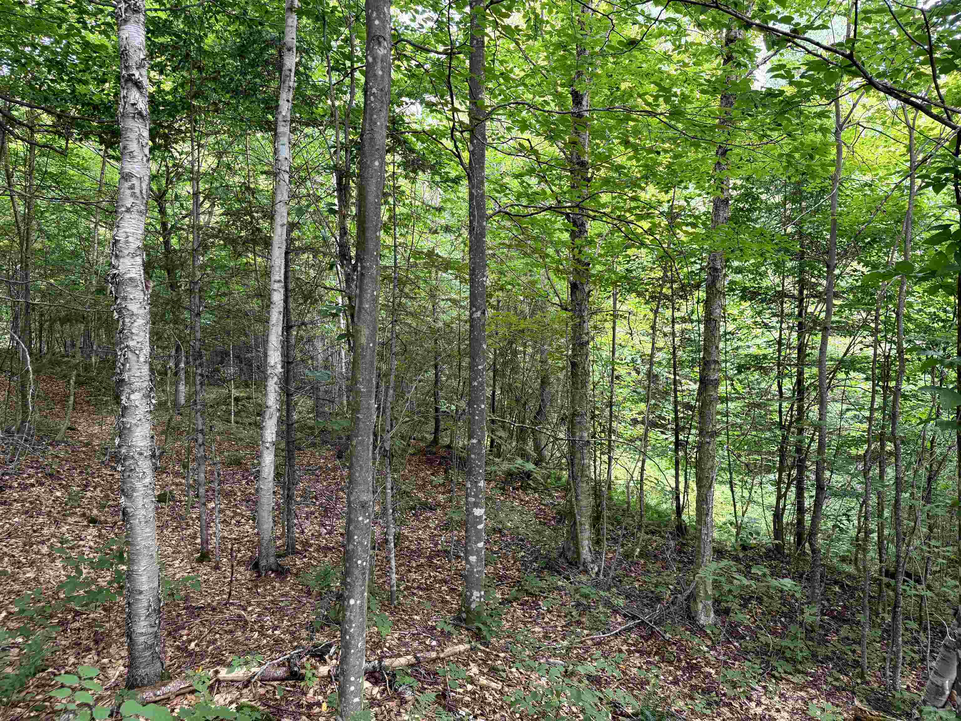 4716 Route 5 photo 10