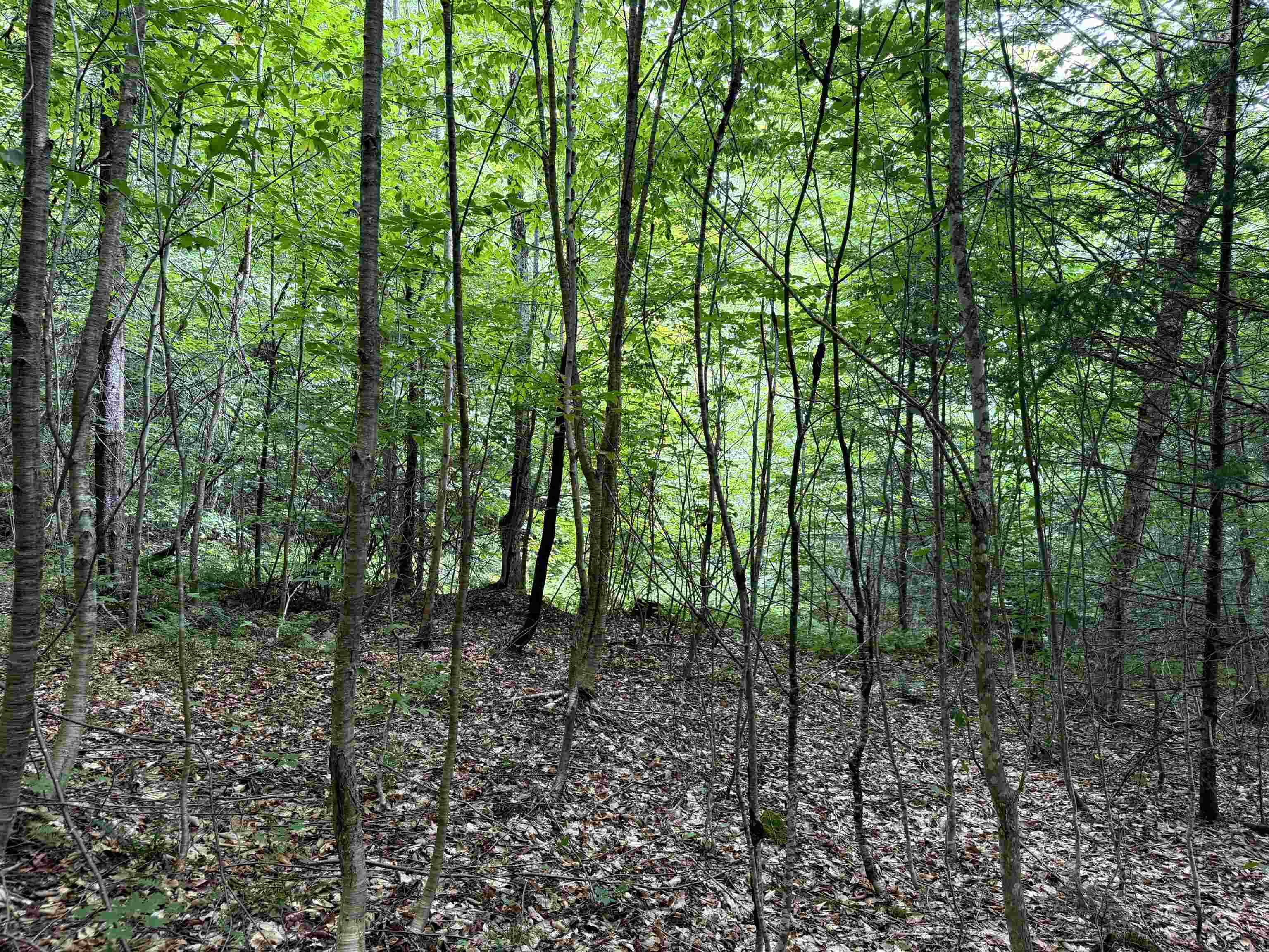 4716 Route 5 photo 11