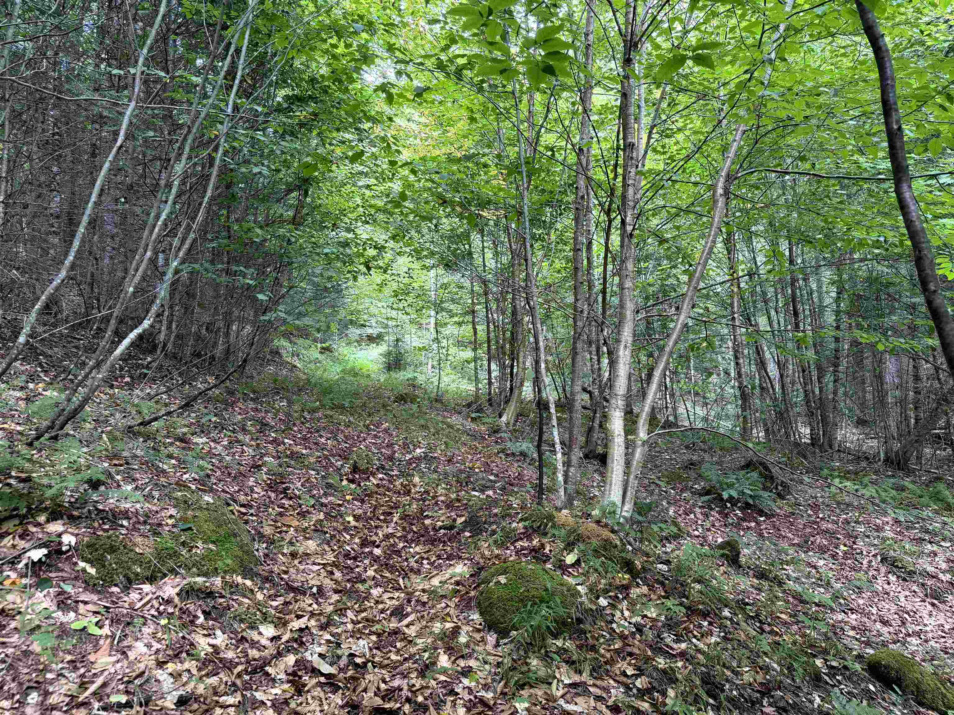 4716 Route 5 photo 12