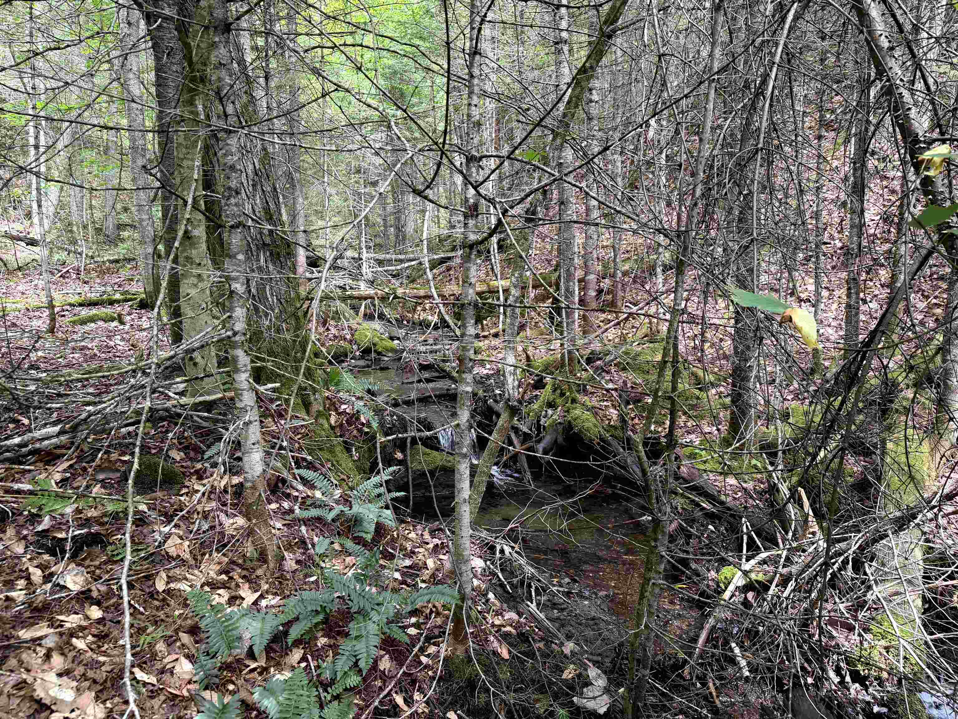 4716 Route 5 photo 13