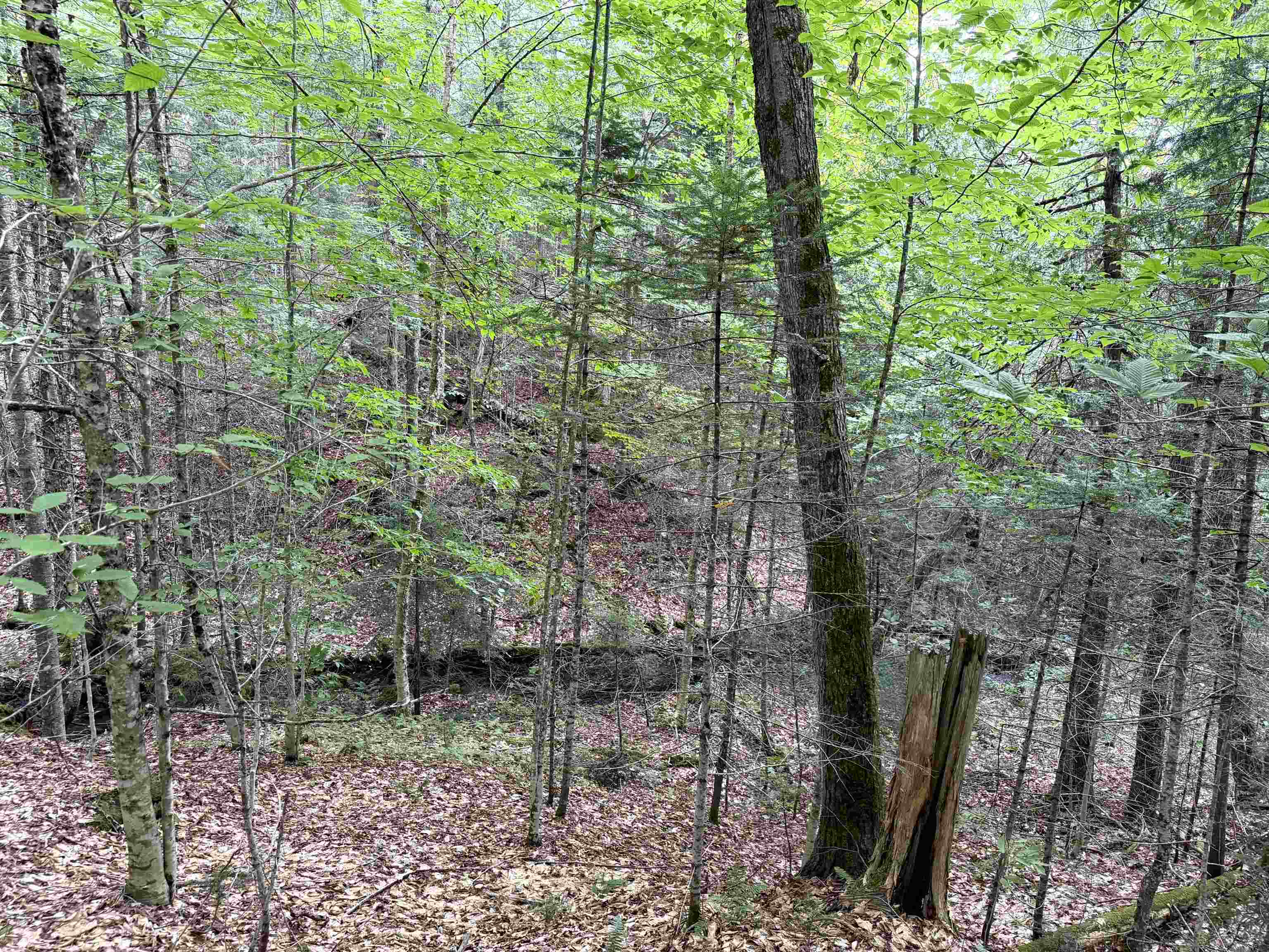4716 Route 5 photo 16