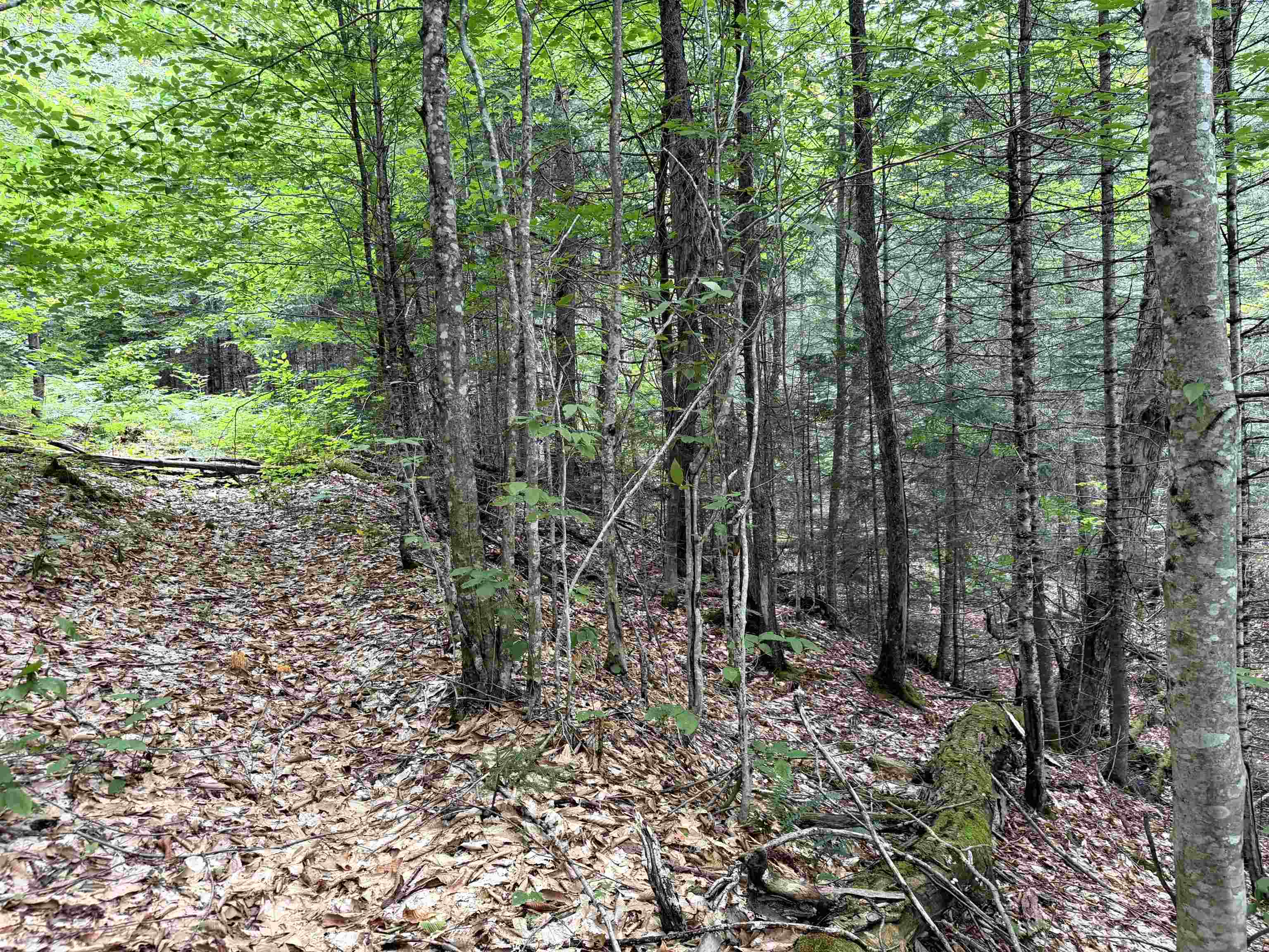 4716 Route 5 photo 17