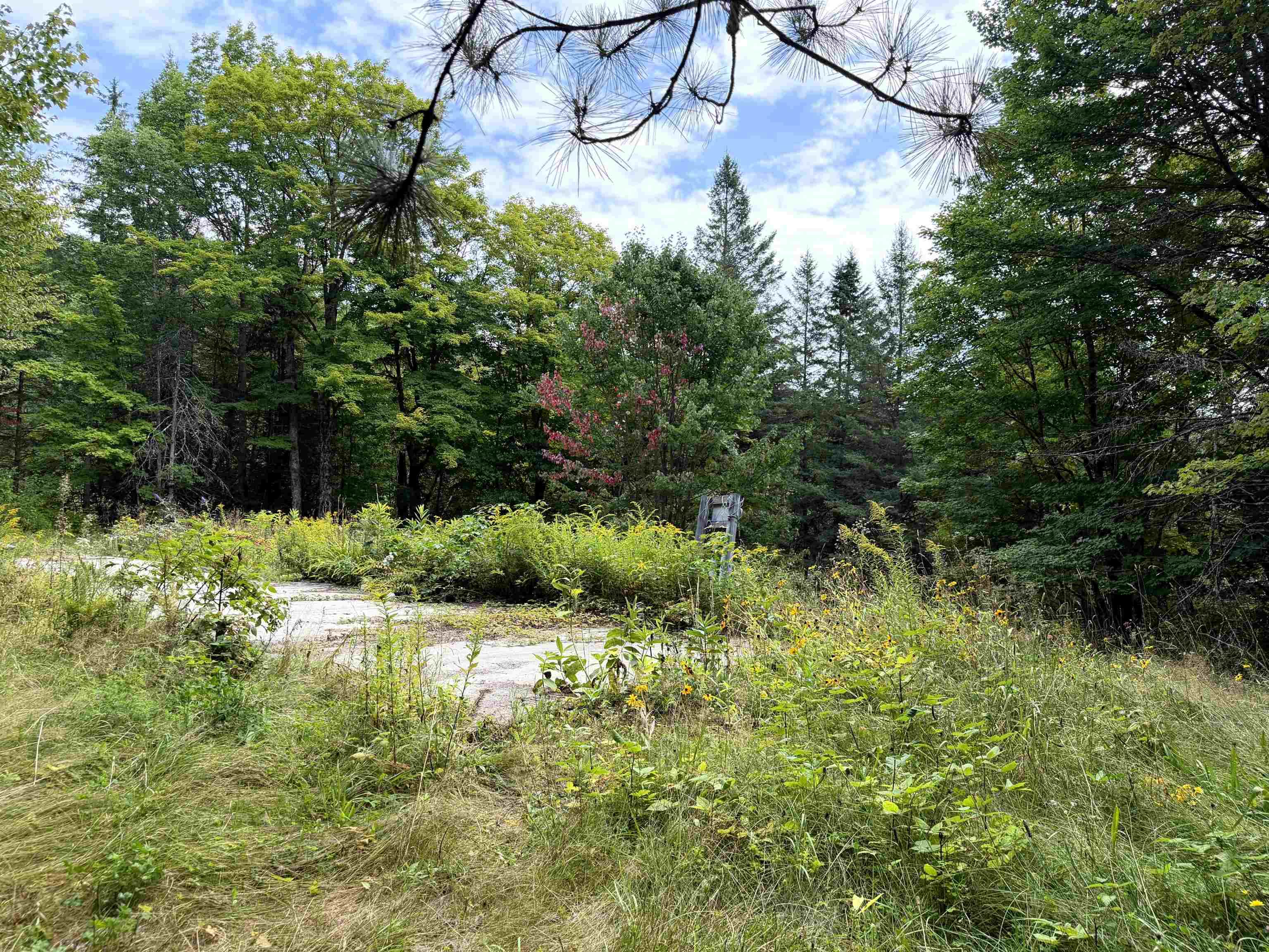 4716 Route 5 photo 21