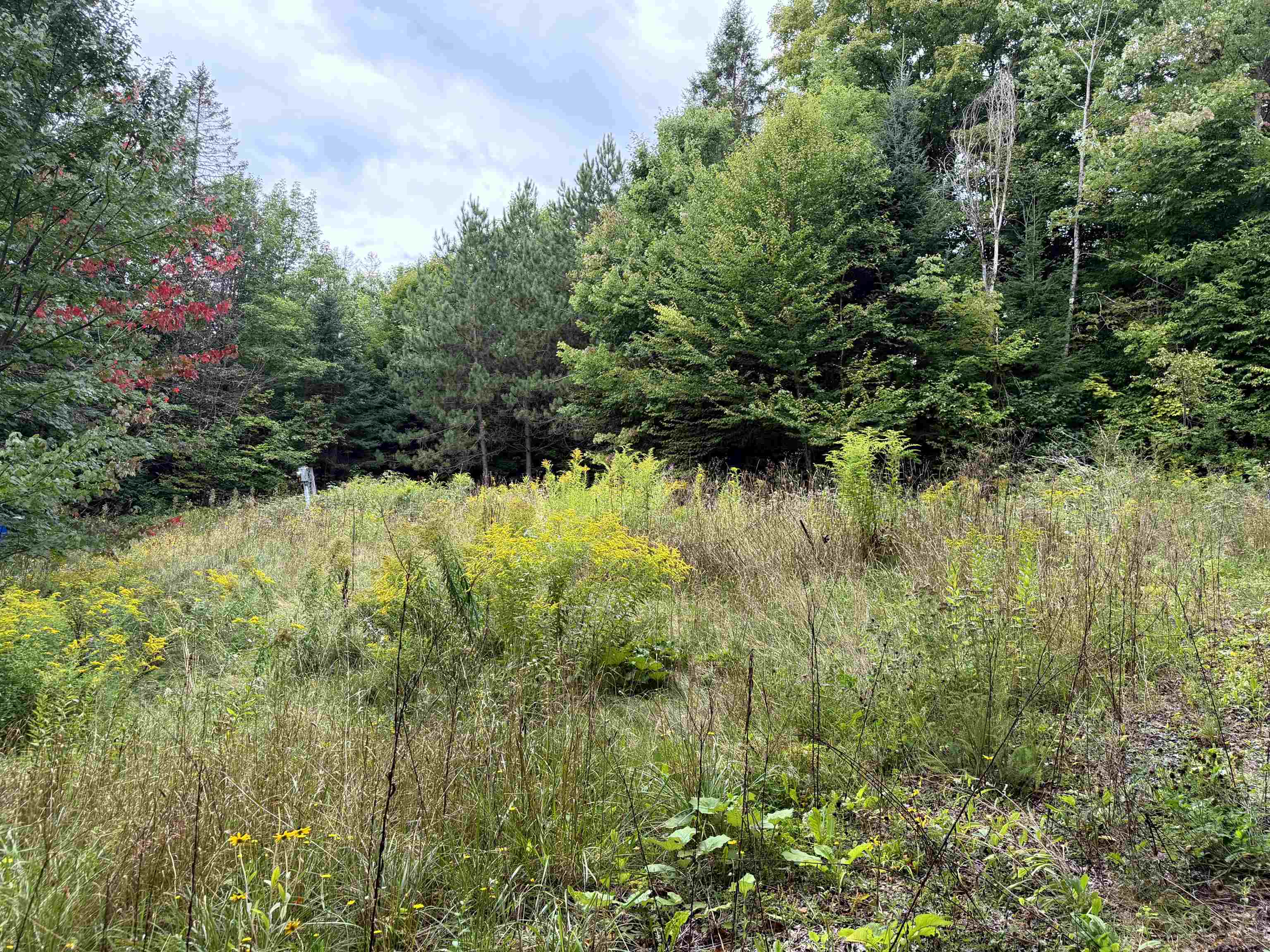 4716 Route 5 photo 3
