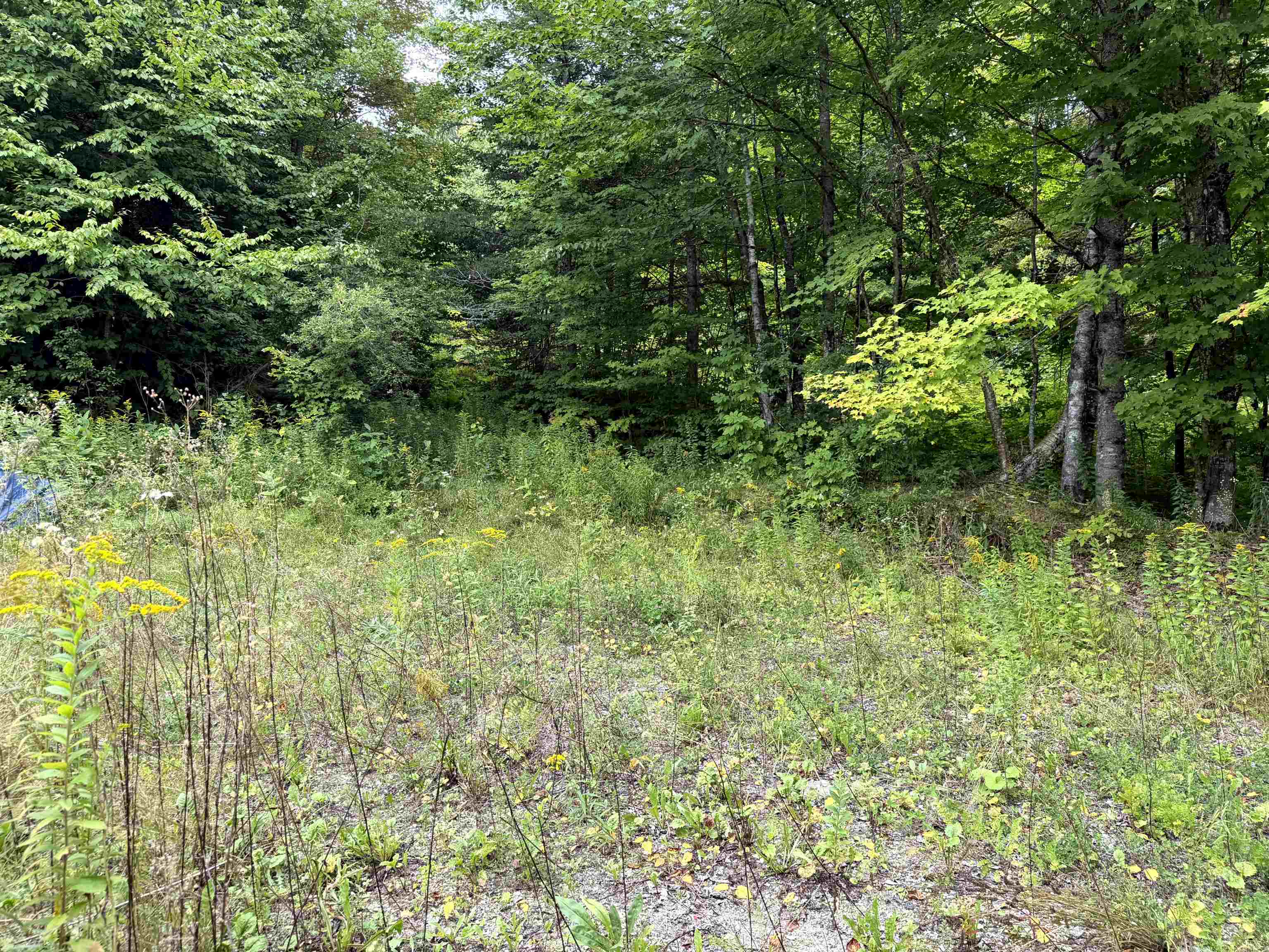 4716 Route 5 photo 4