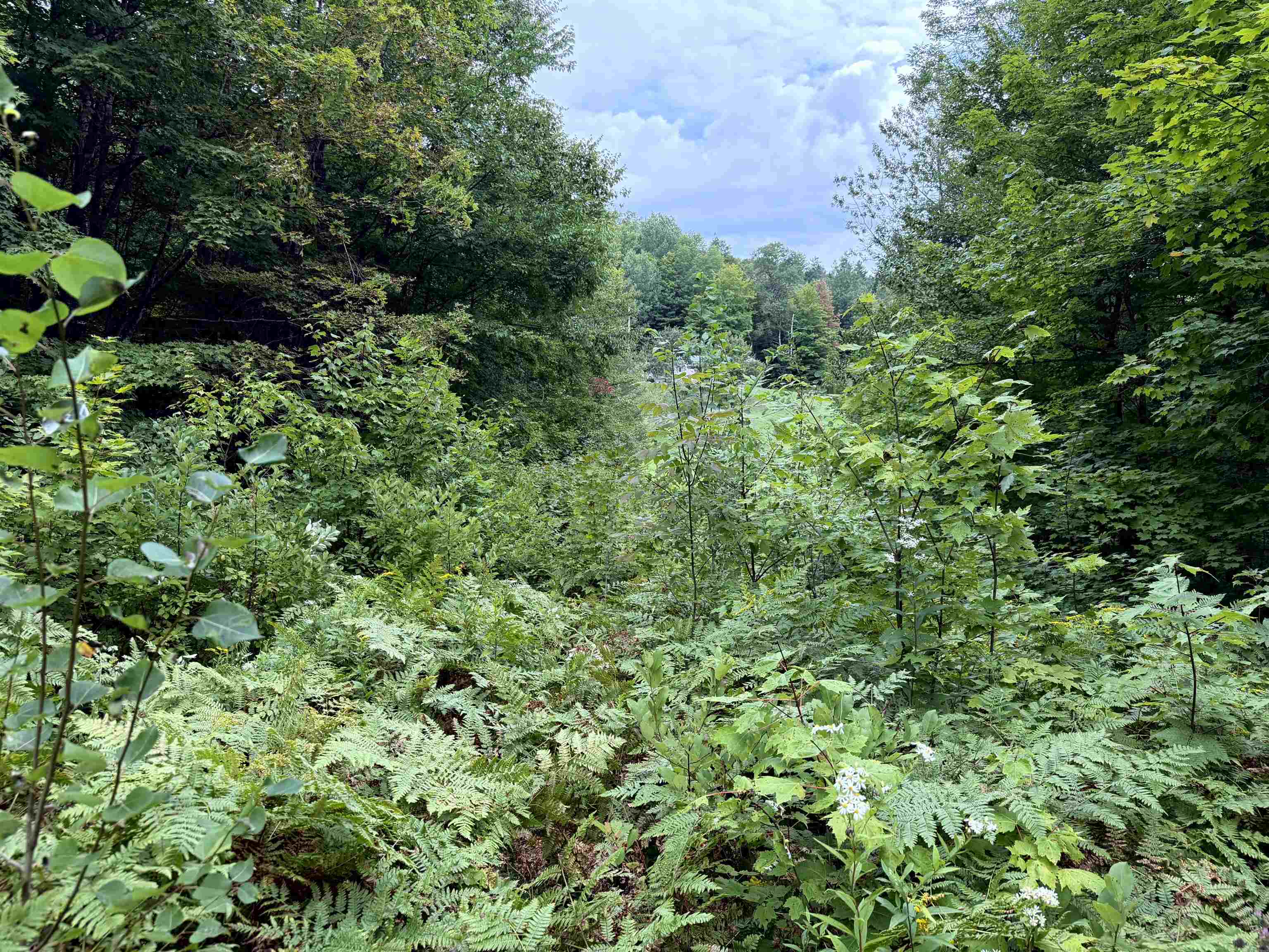 4716 Route 5 photo 7
