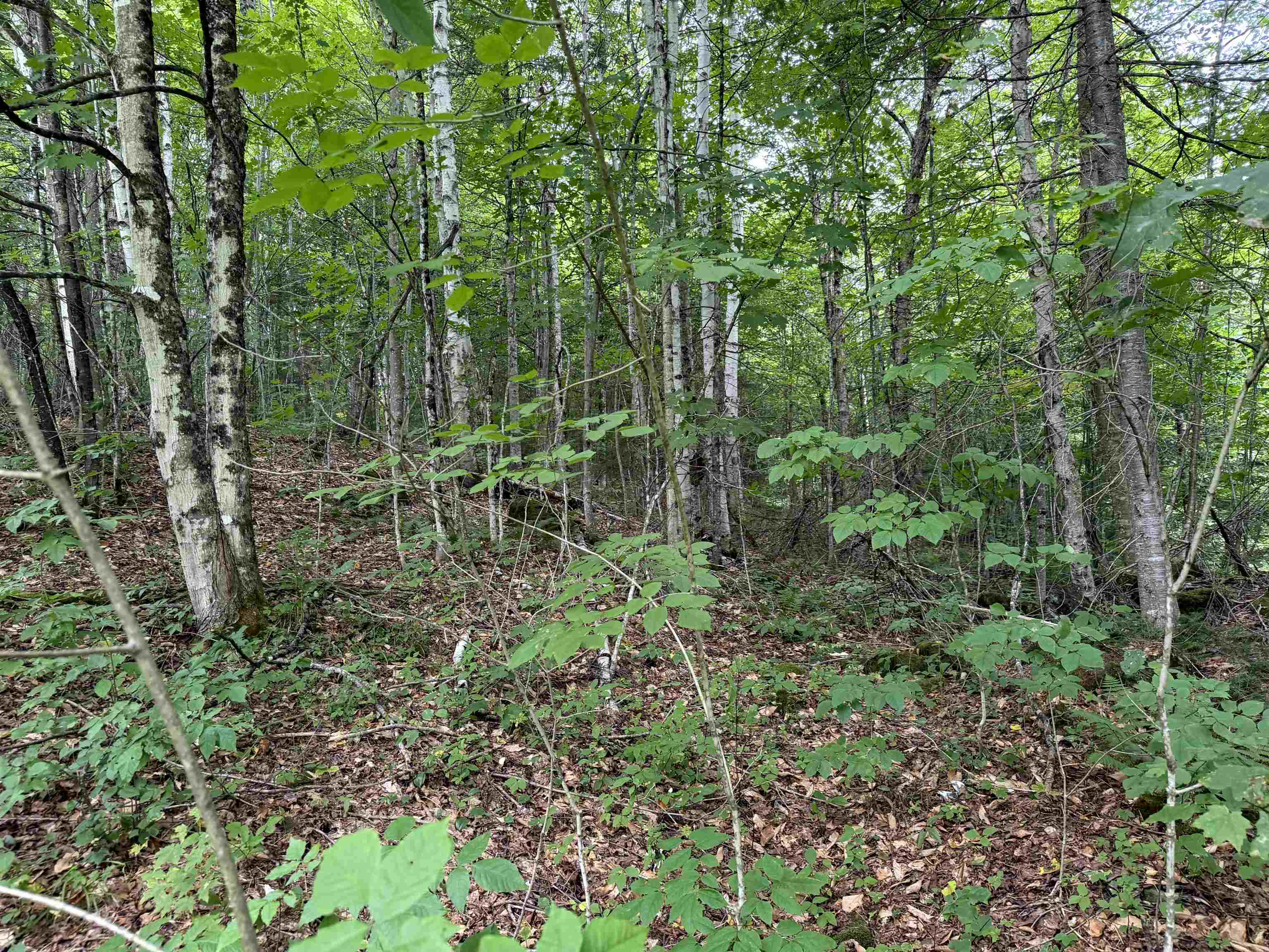 4716 Route 5 photo 8