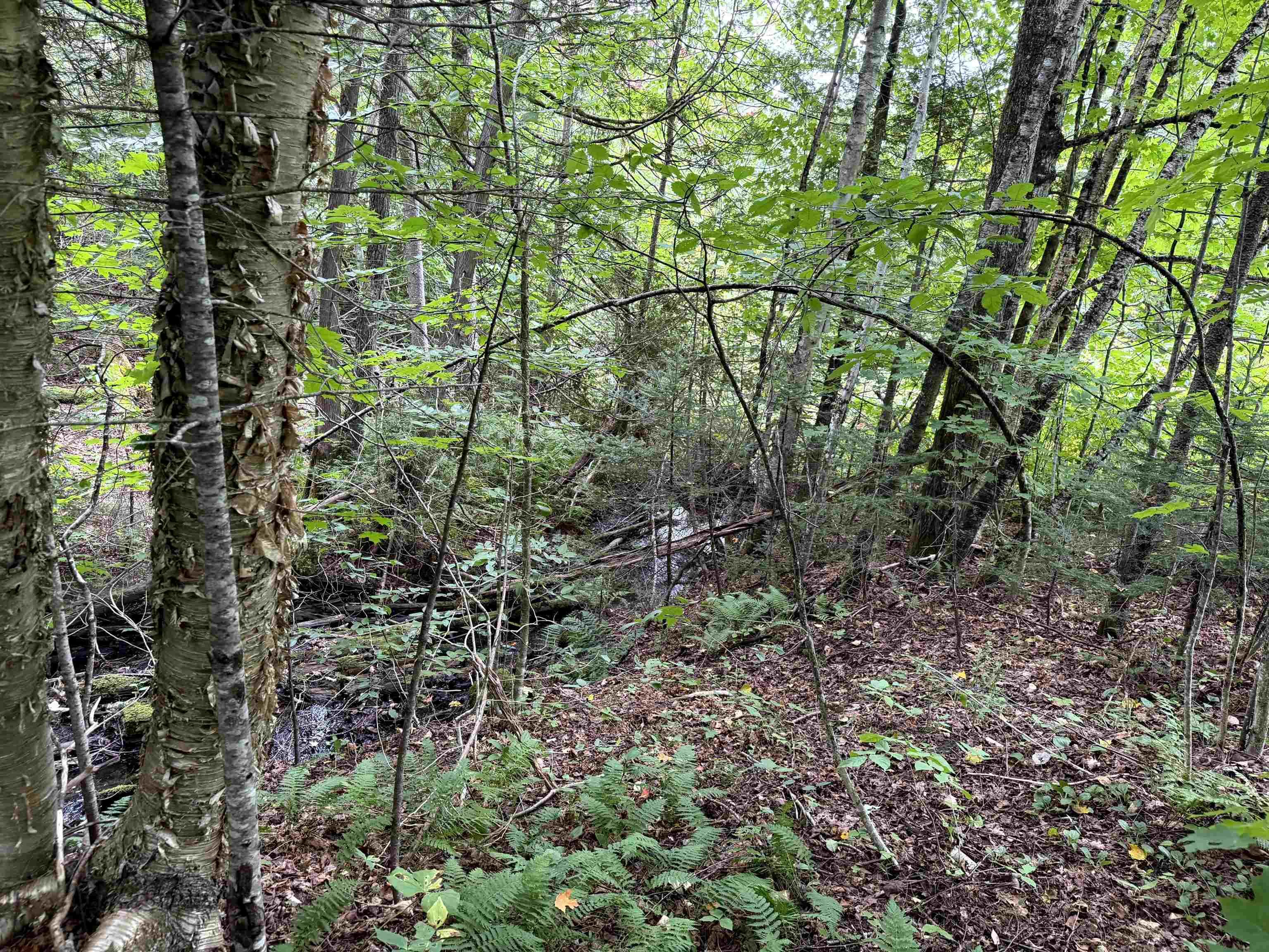 4716 Route 5 photo 9