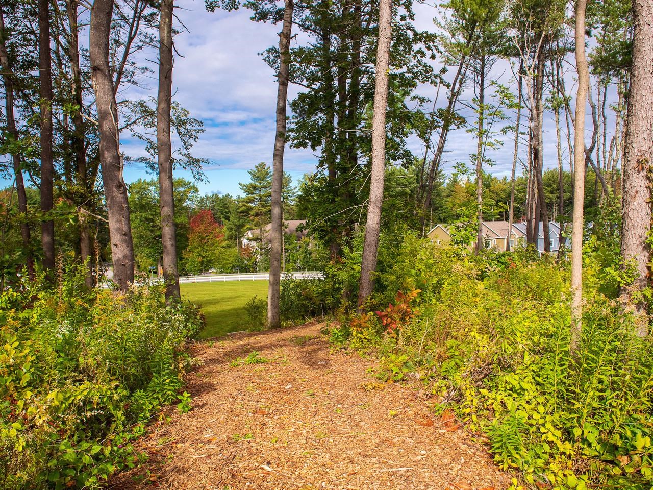 27 Leo Lane photo 42