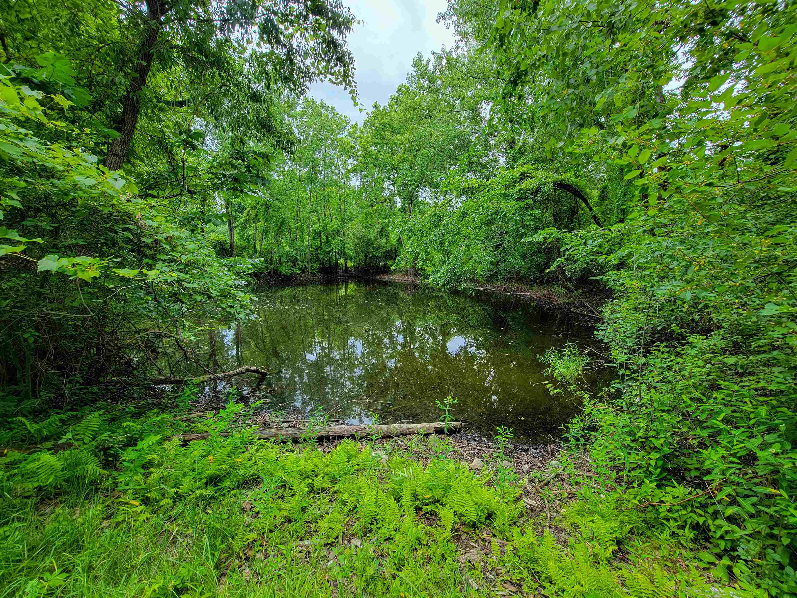 399 Bard Road photo 12