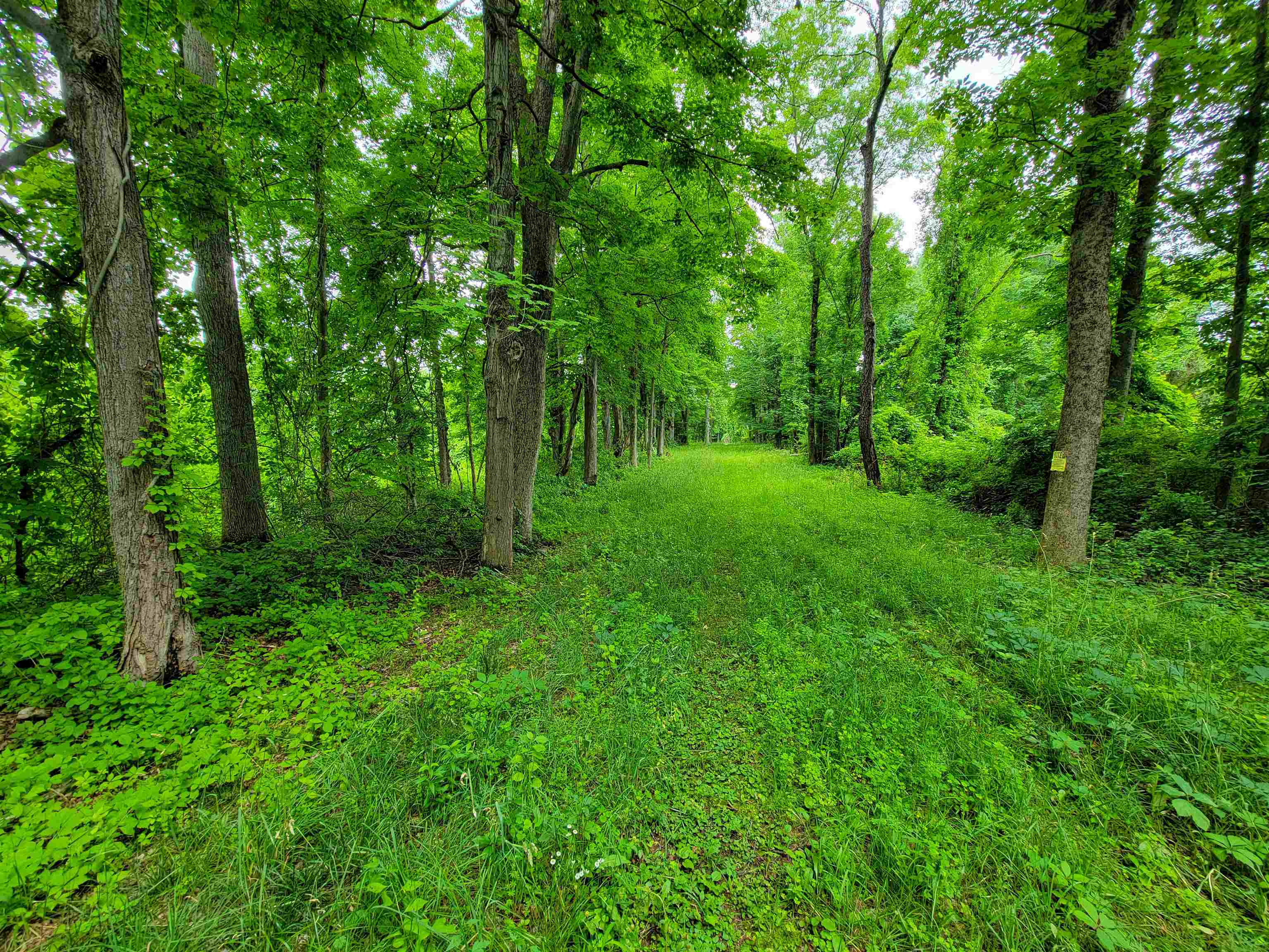 399 Bard Road photo 13