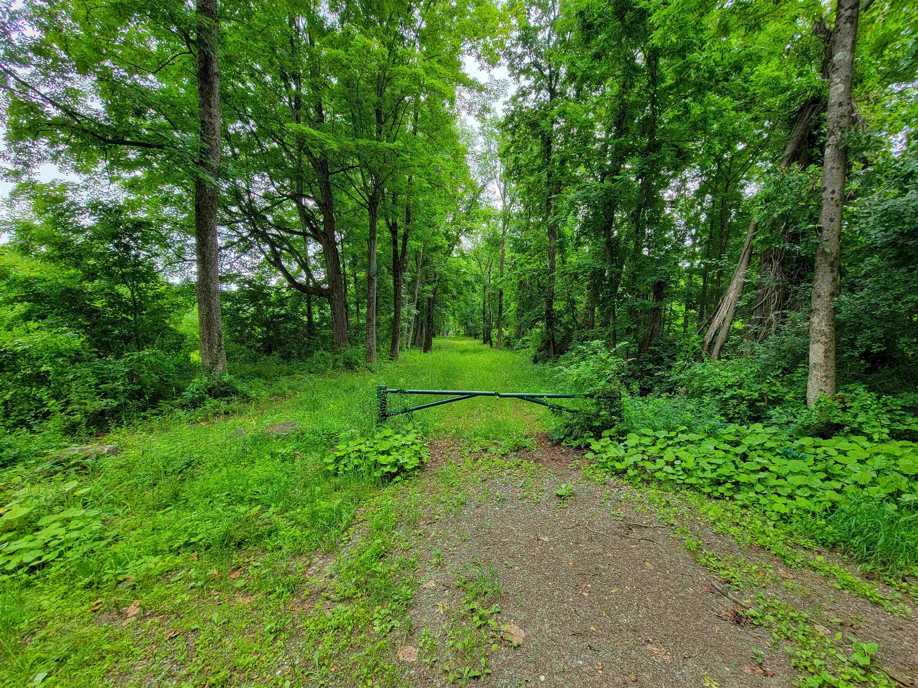399 Bard Road photo 15