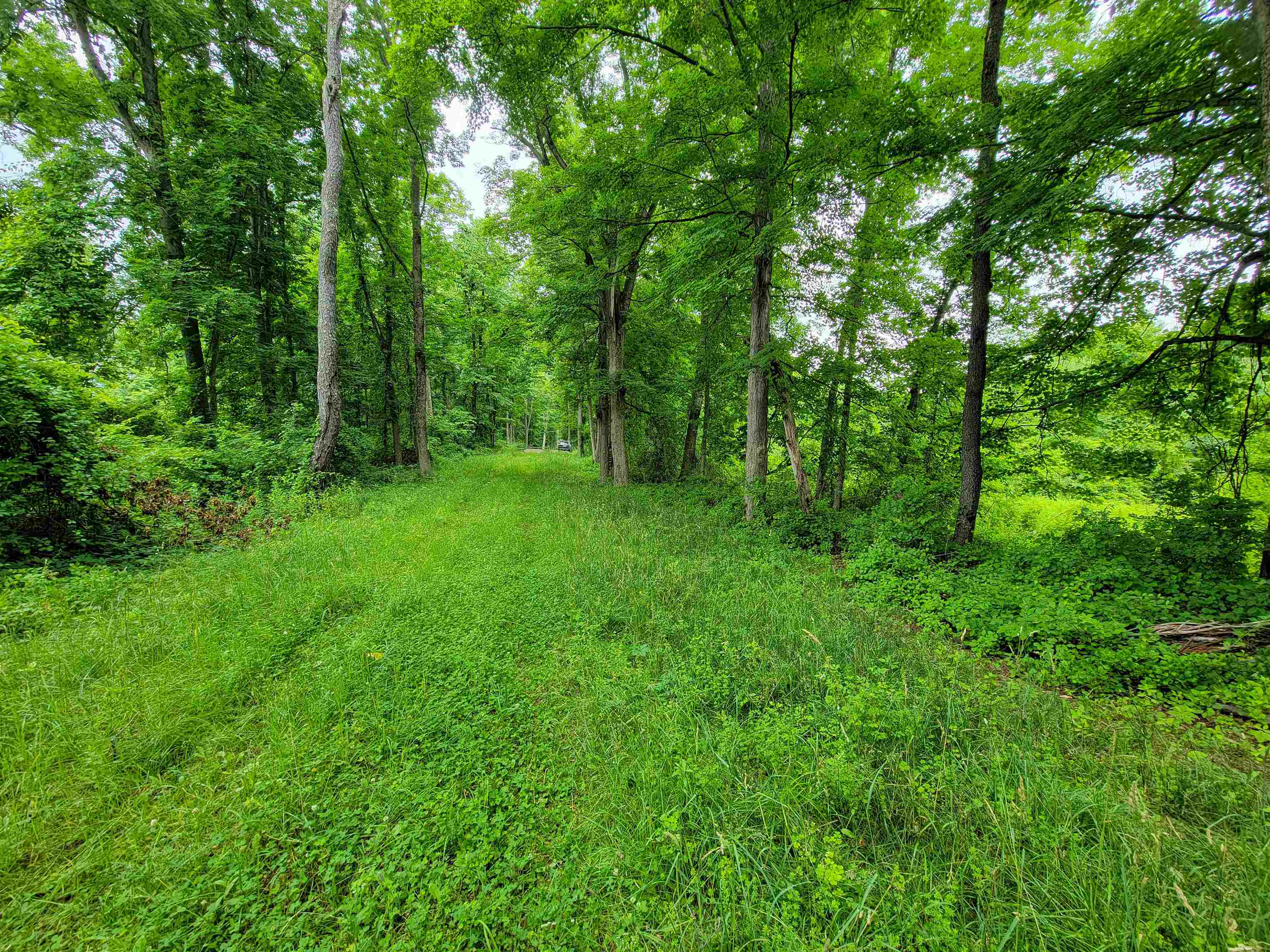 399 Bard Road photo 17