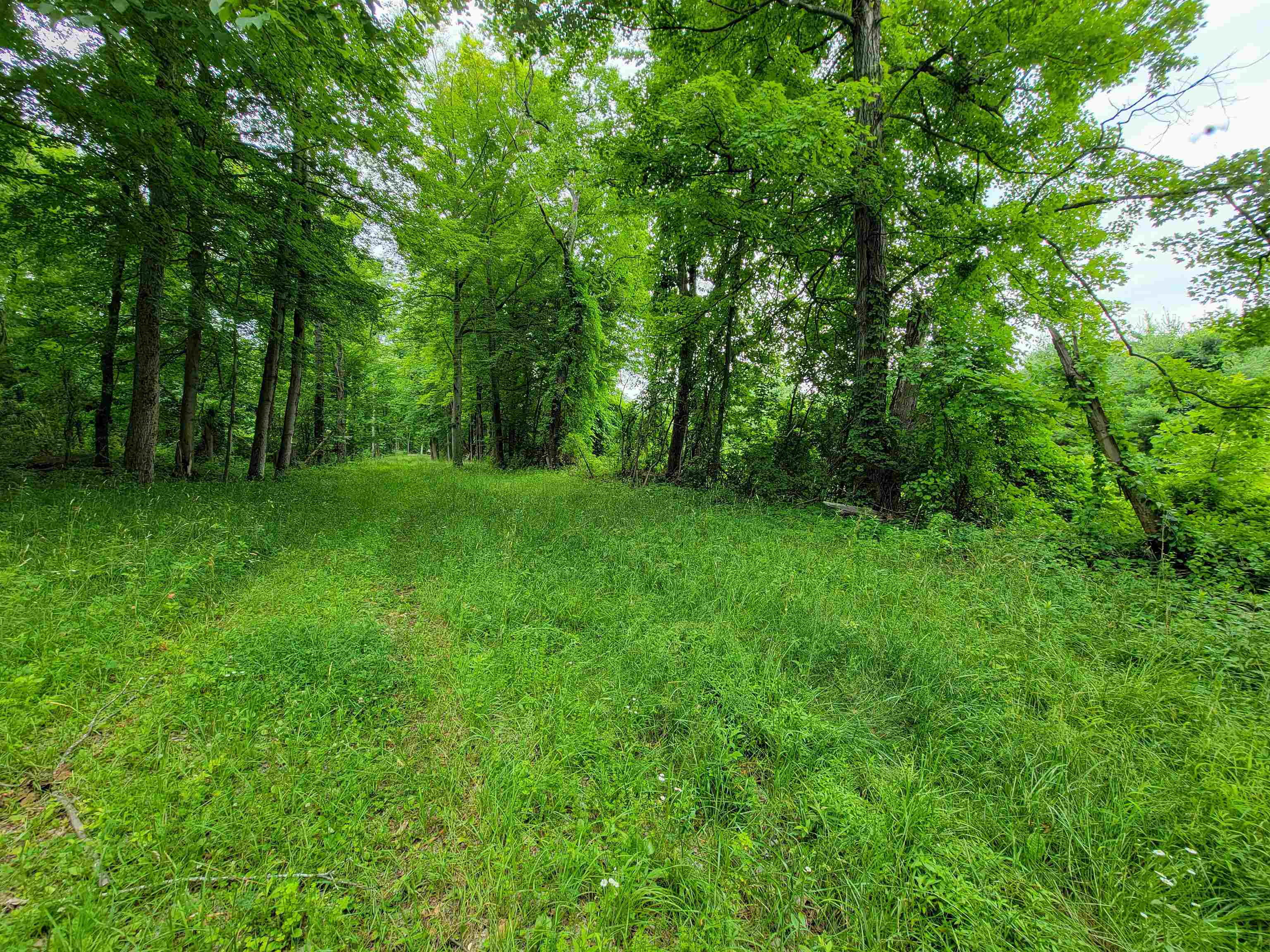 399 Bard Road photo 18