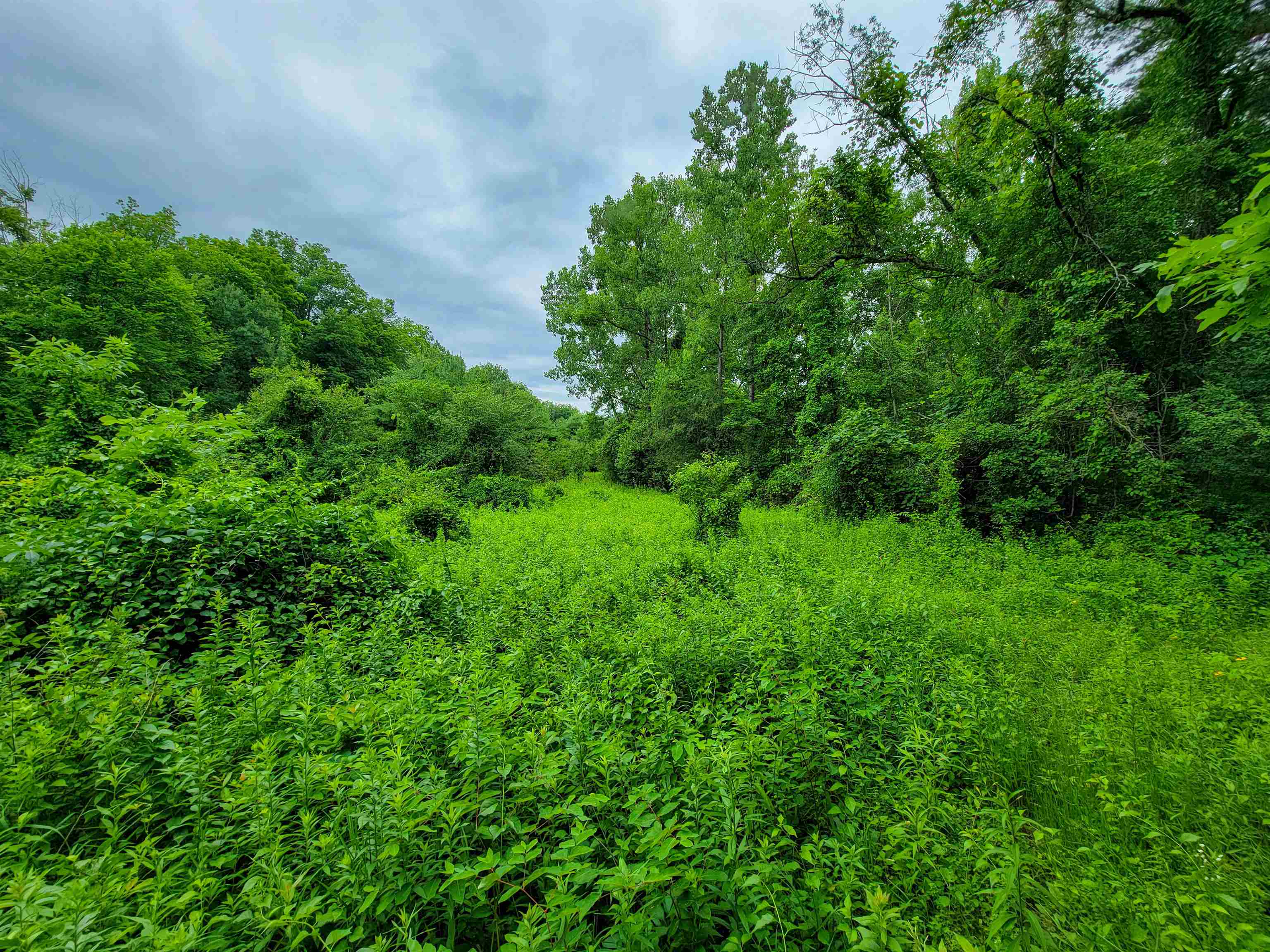 399 Bard Road photo 20