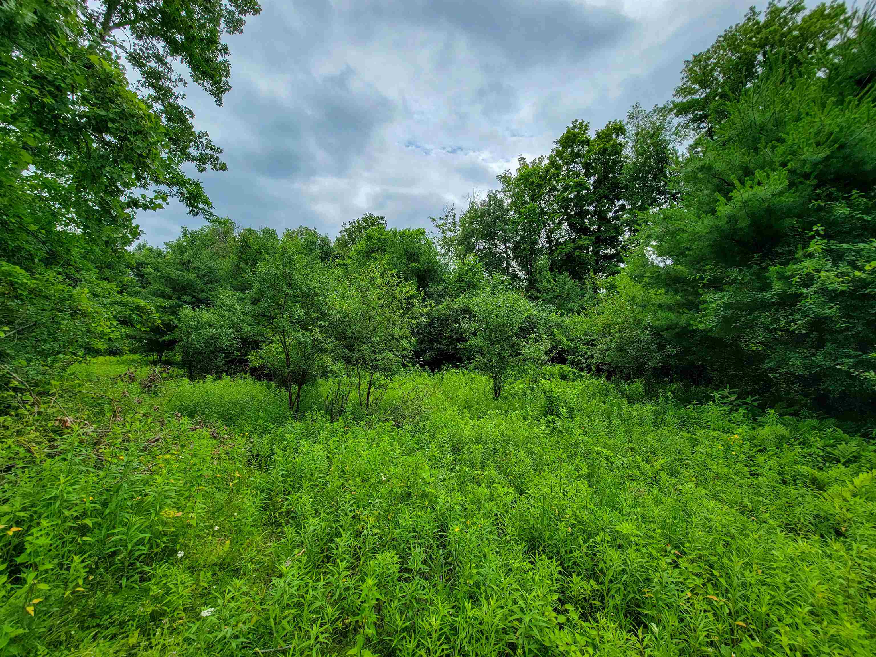 399 Bard Road photo 21