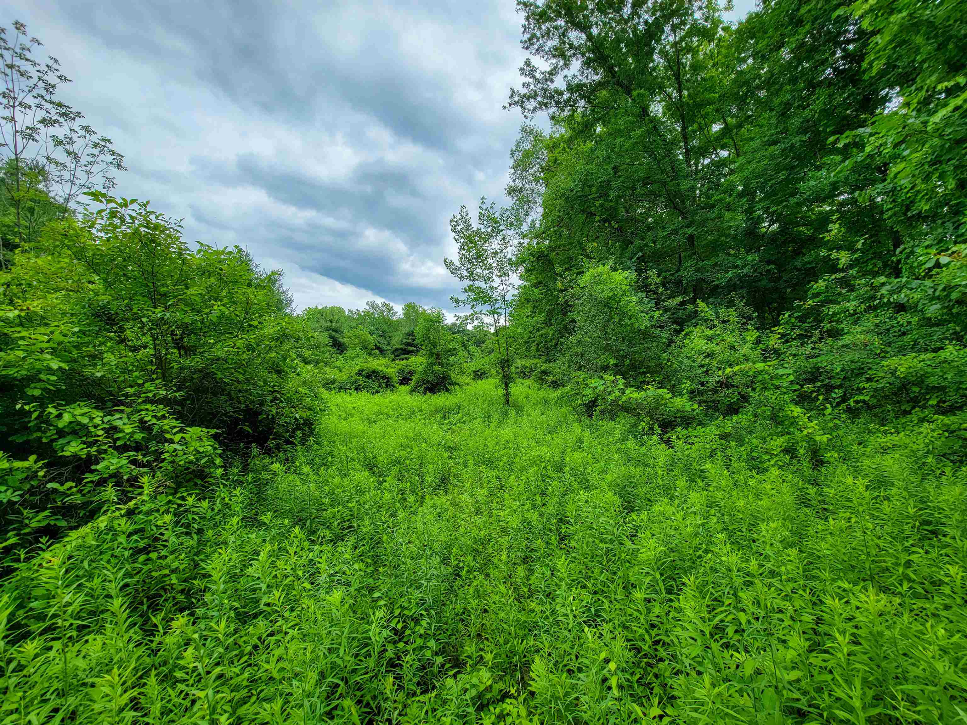 399 Bard Road photo 23