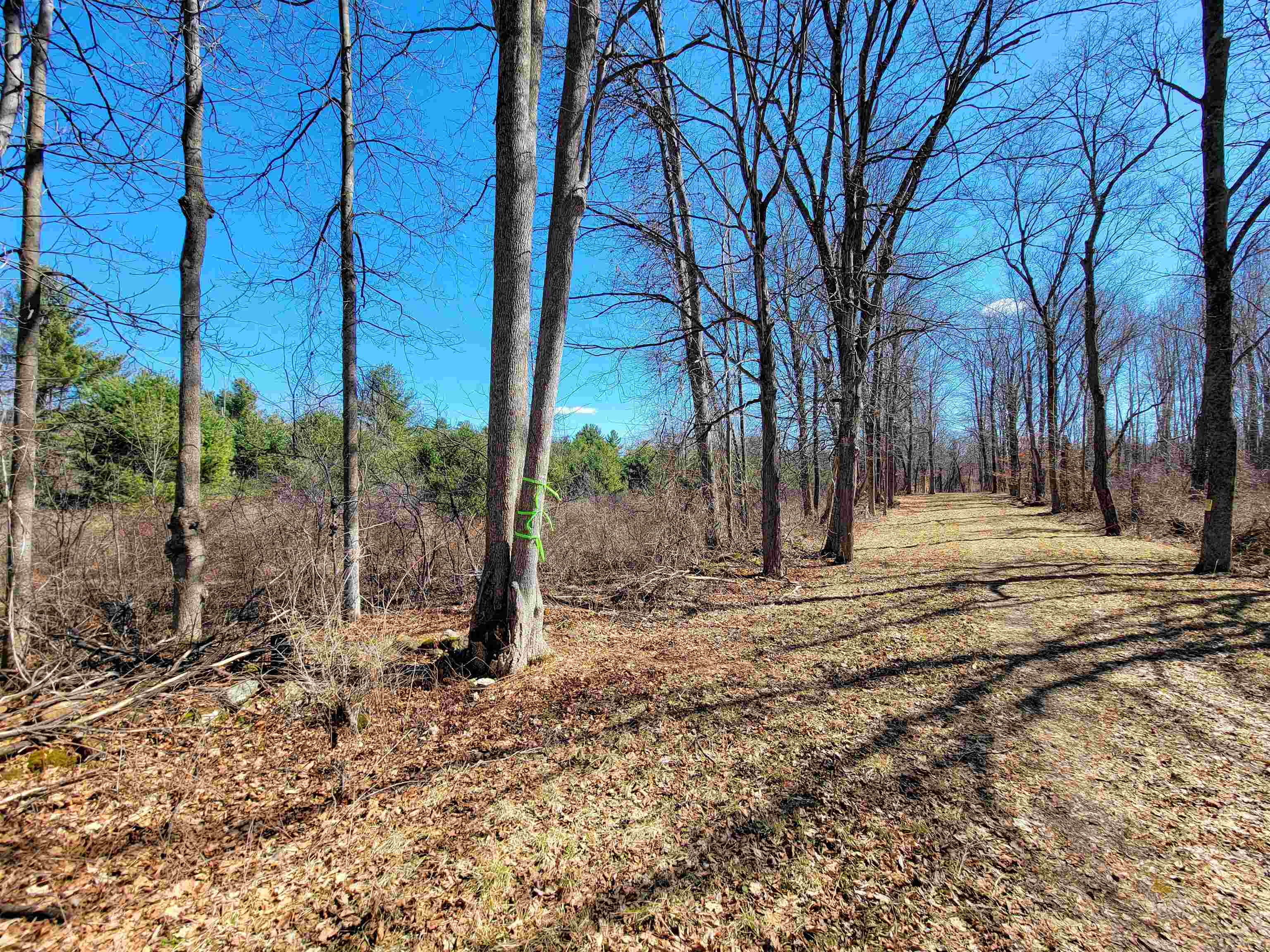 399 Bard Road photo 26