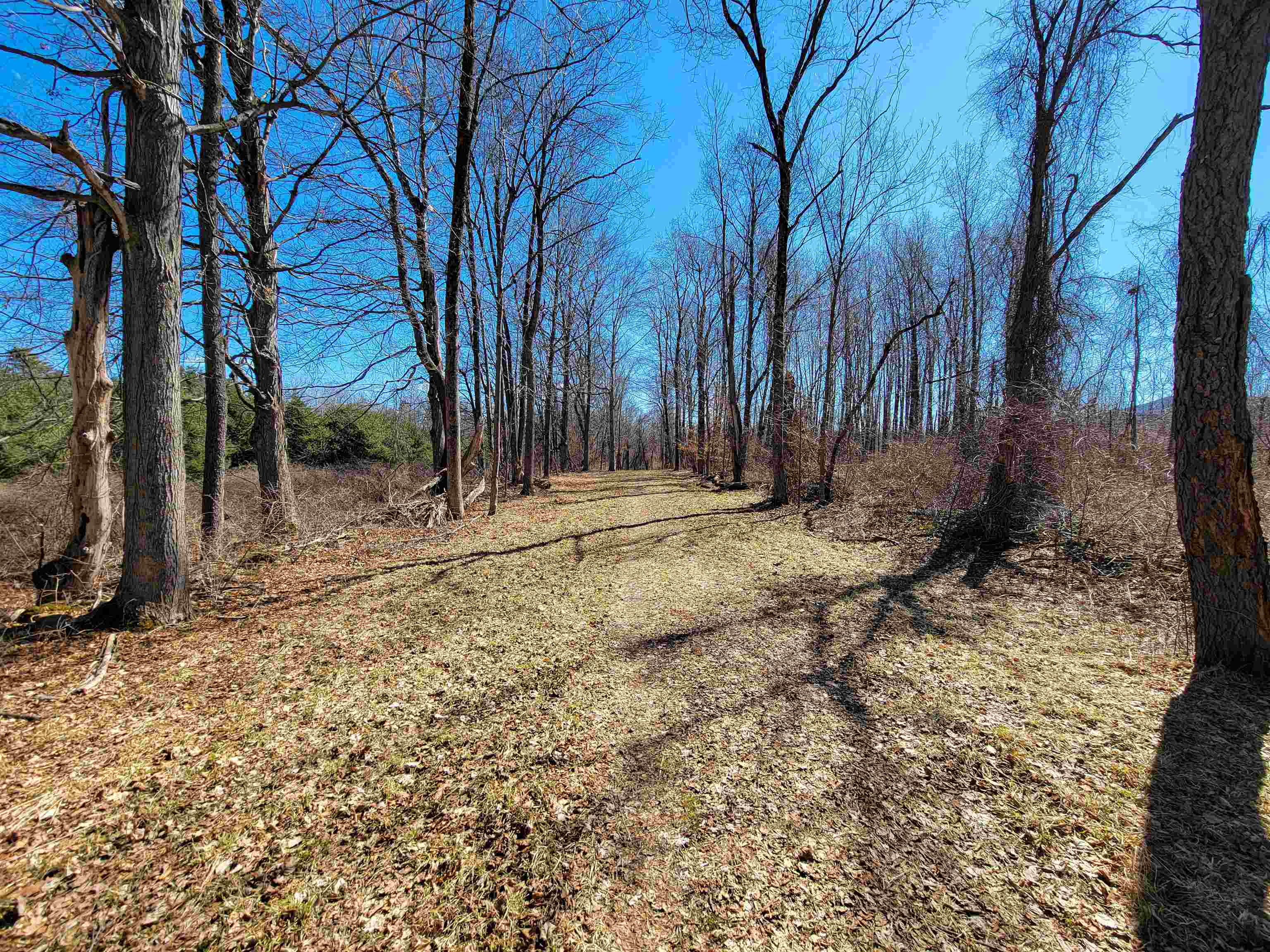 399 Bard Road photo 28