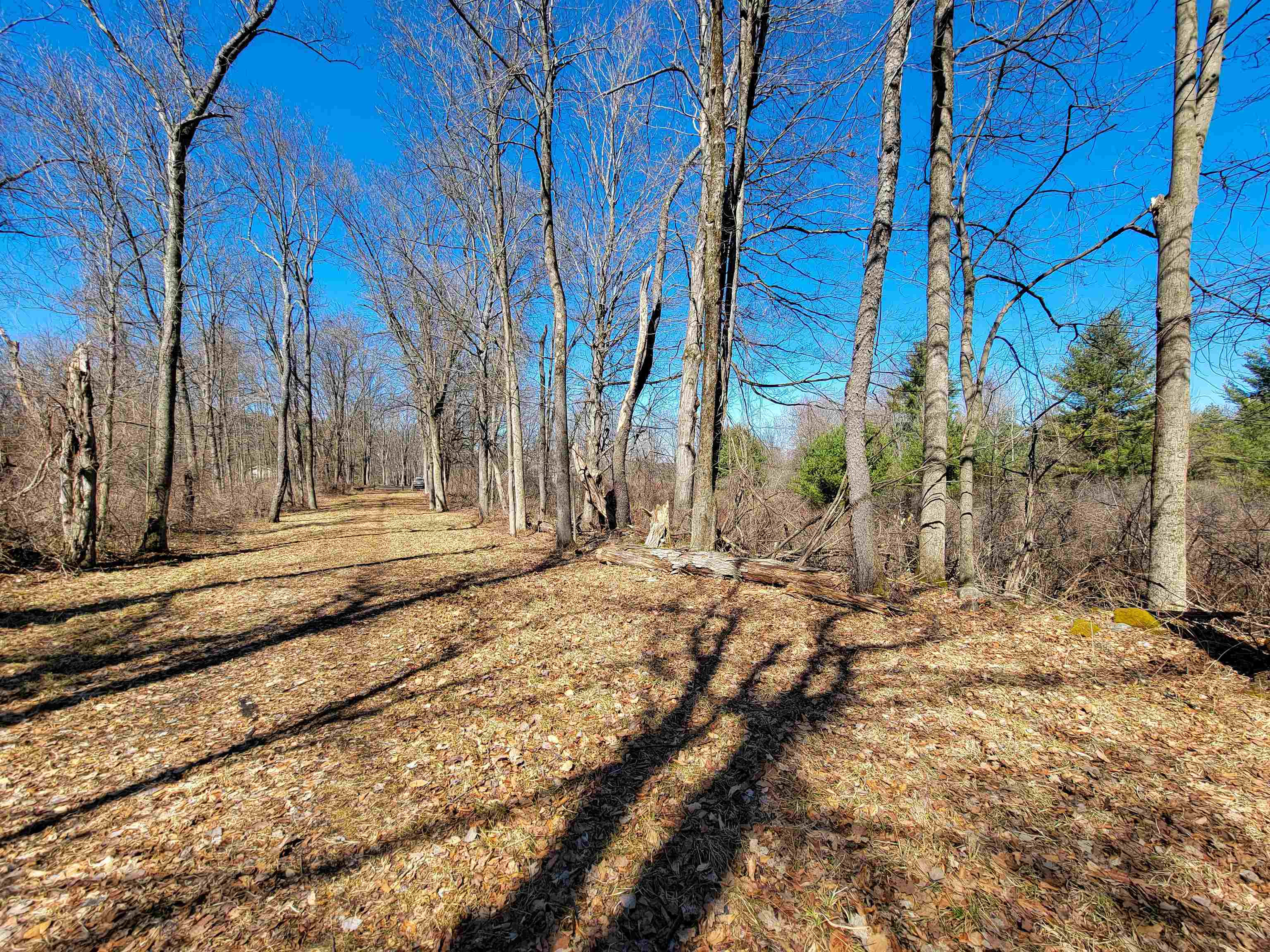 399 Bard Road photo 29