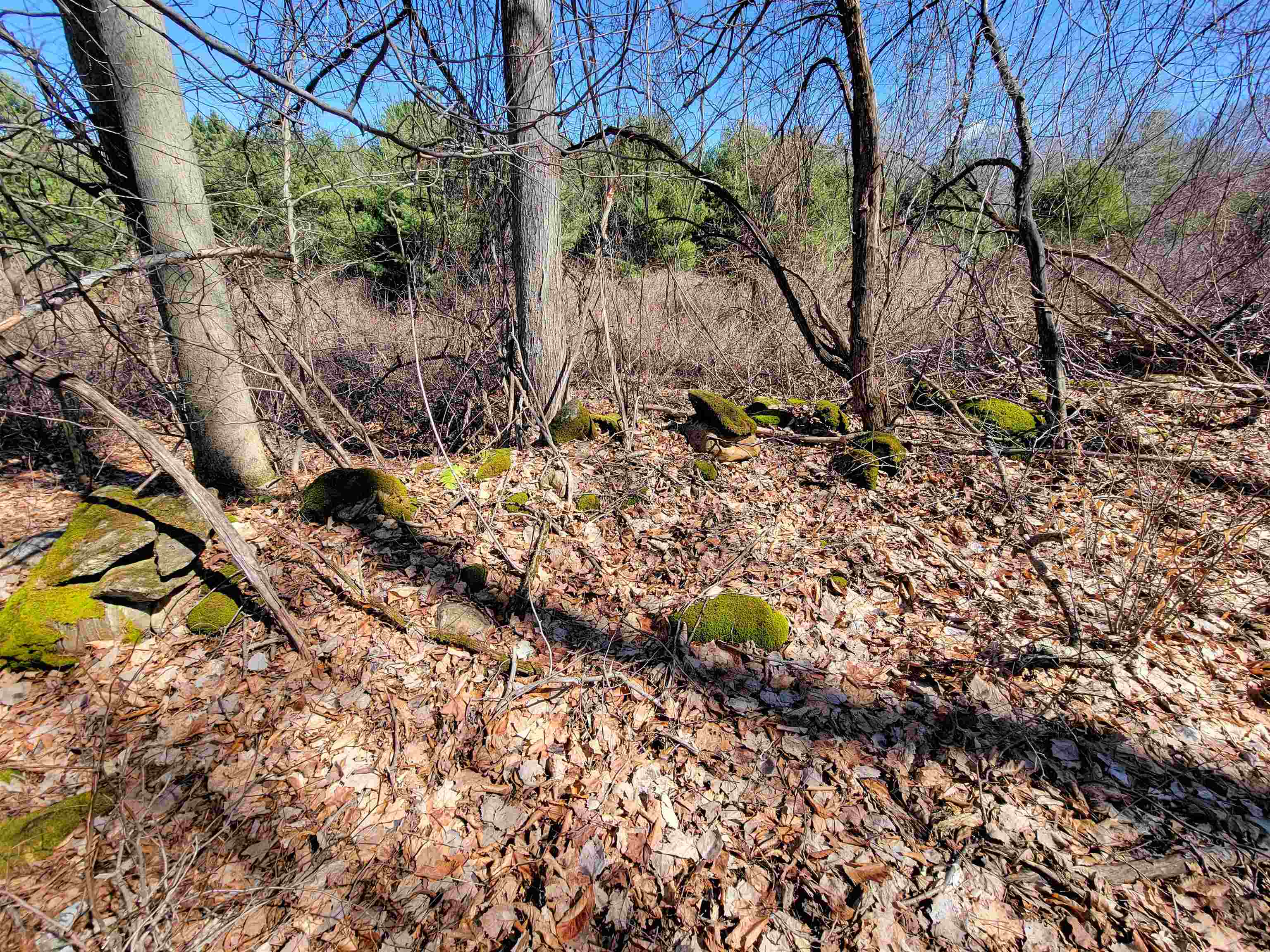 399 Bard Road photo 30