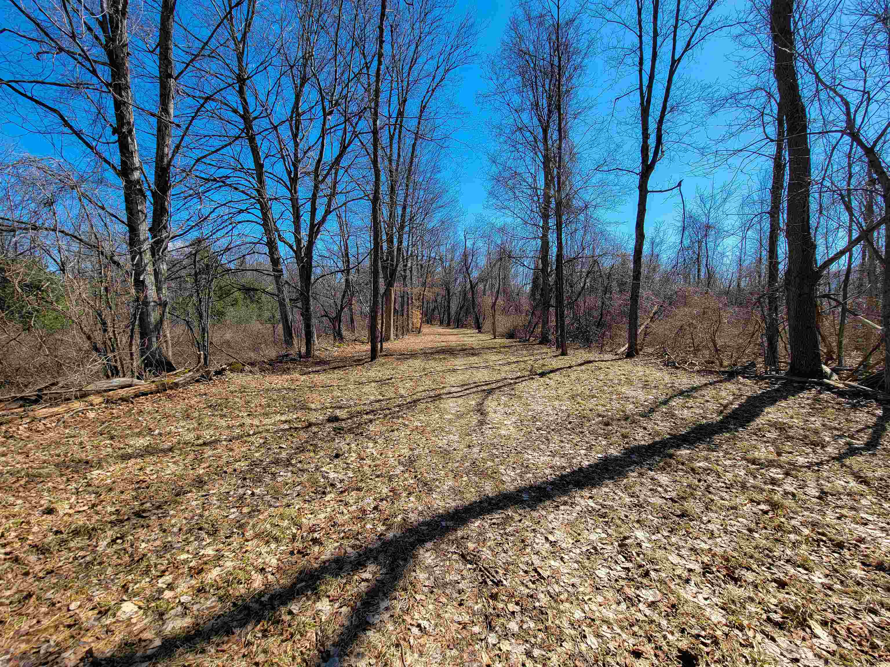 399 Bard Road photo 31