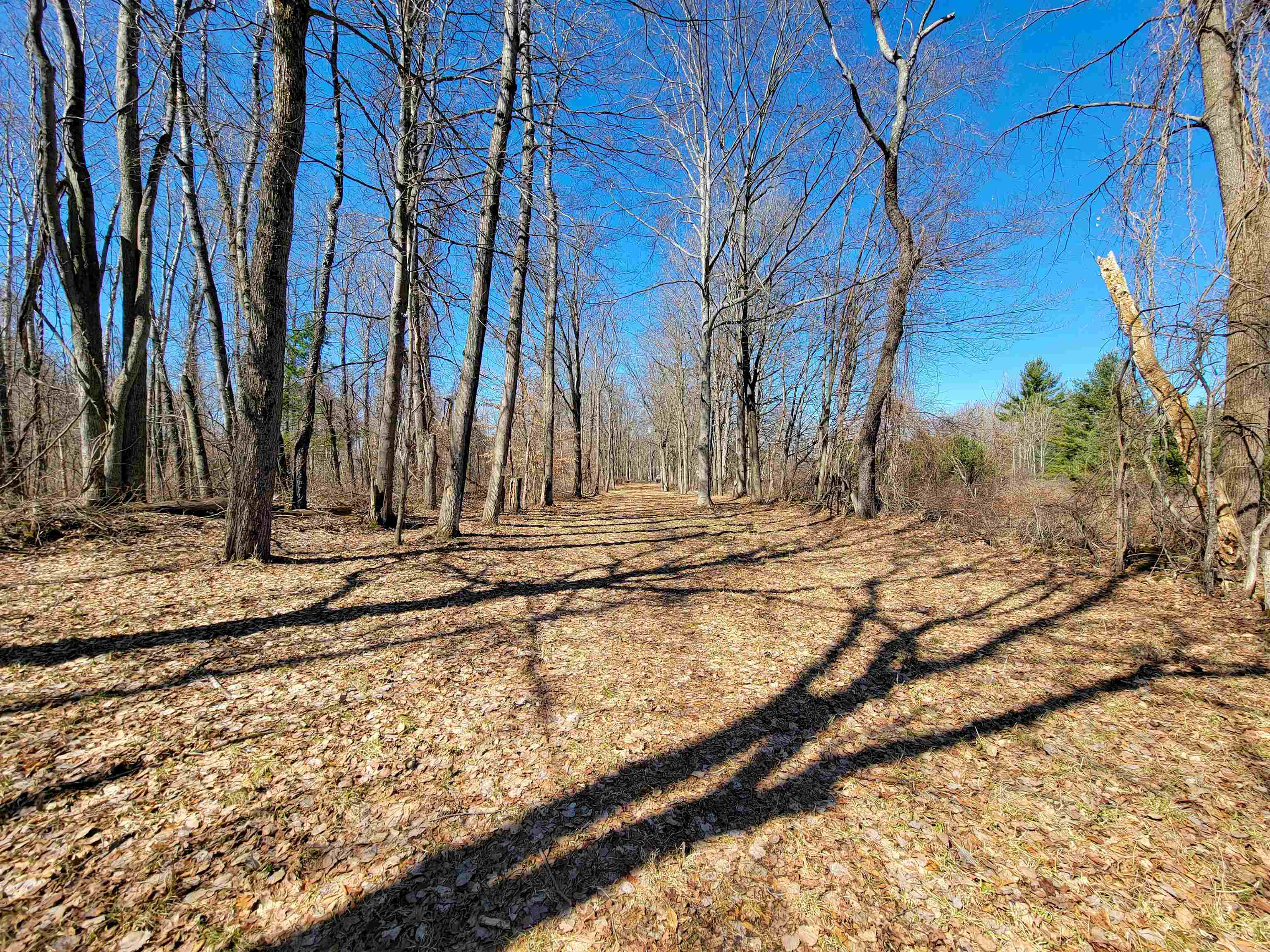 399 Bard Road photo 32
