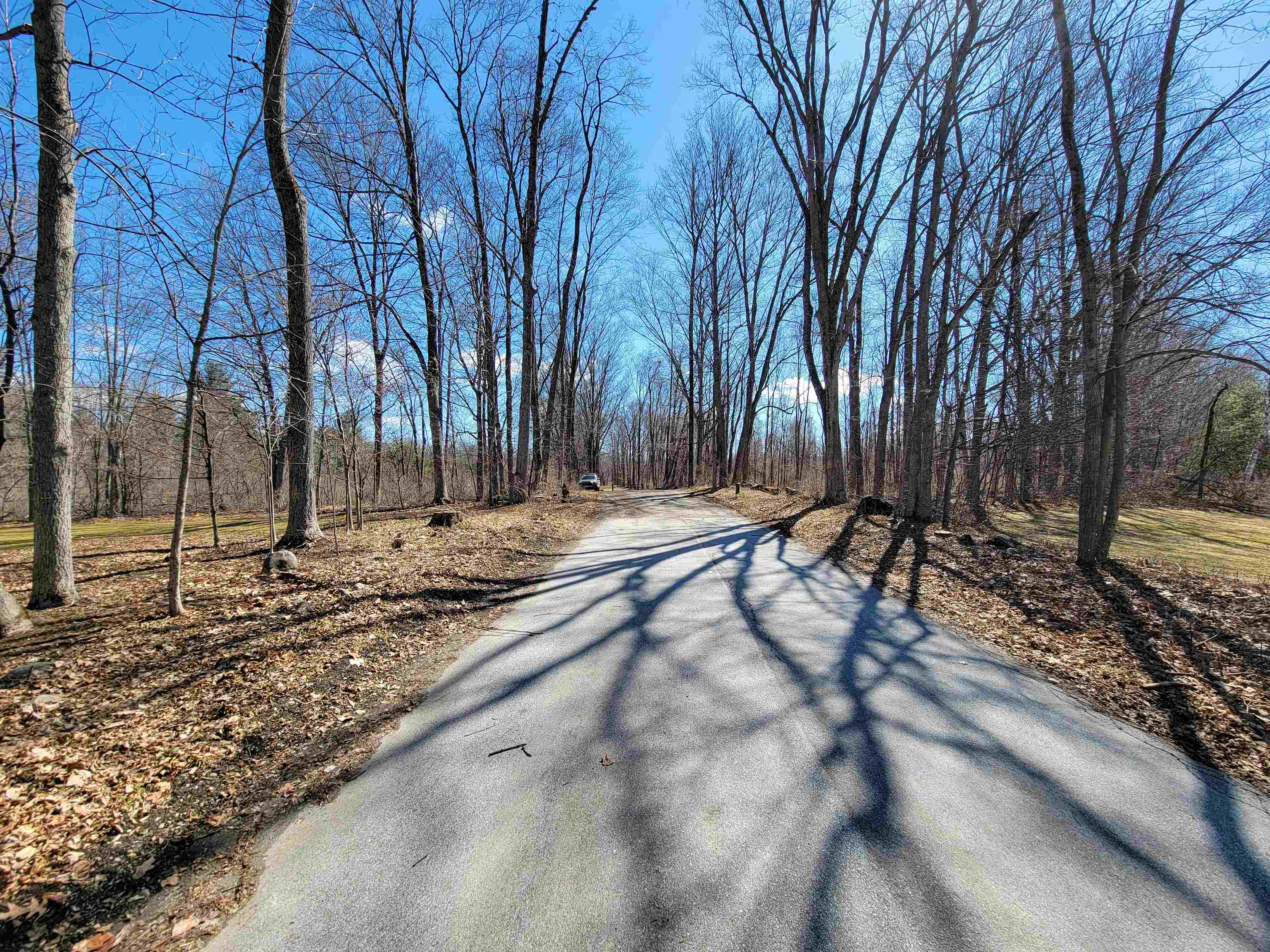 399 Bard Road photo 34