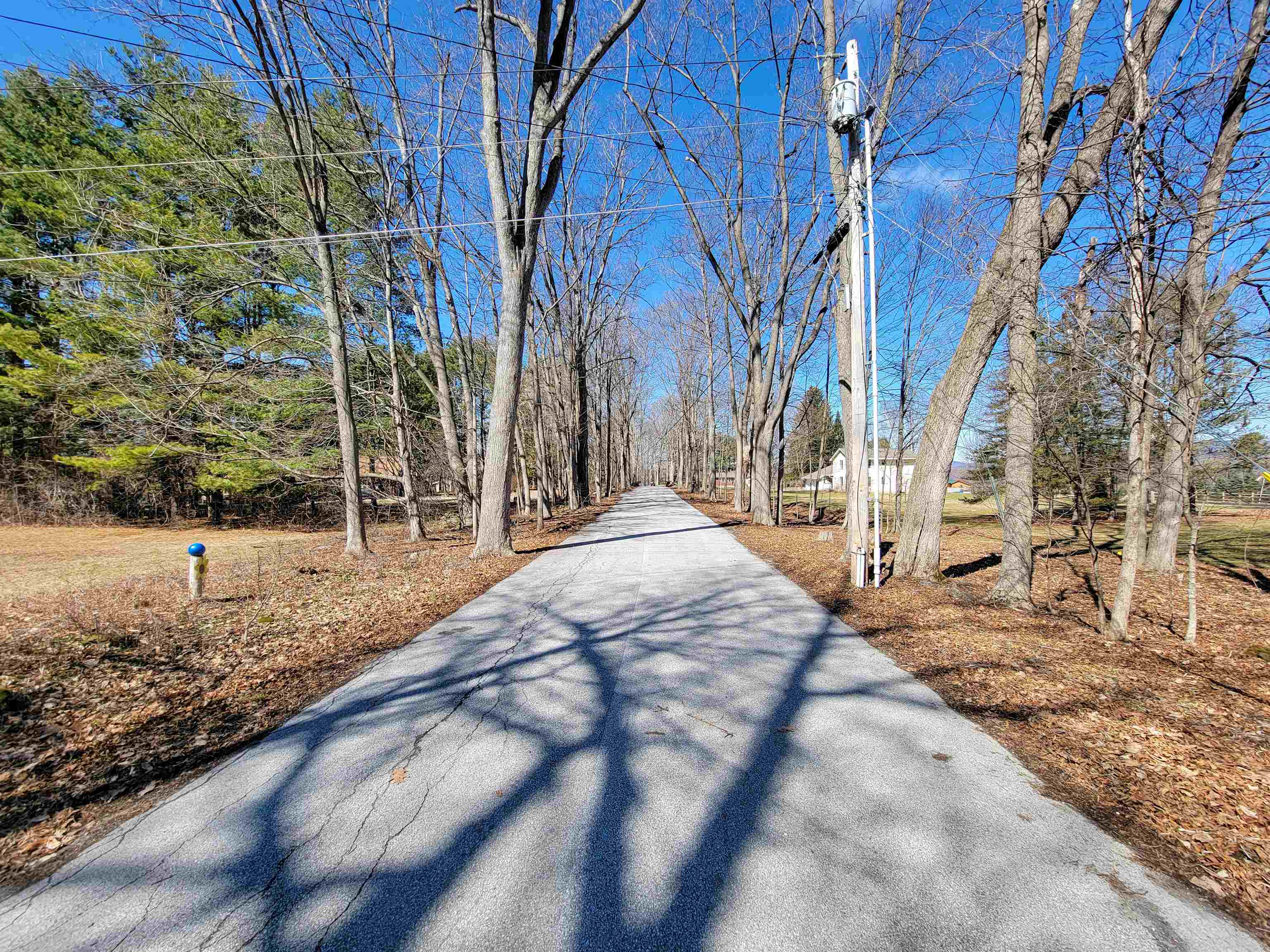 399 Bard Road photo 35