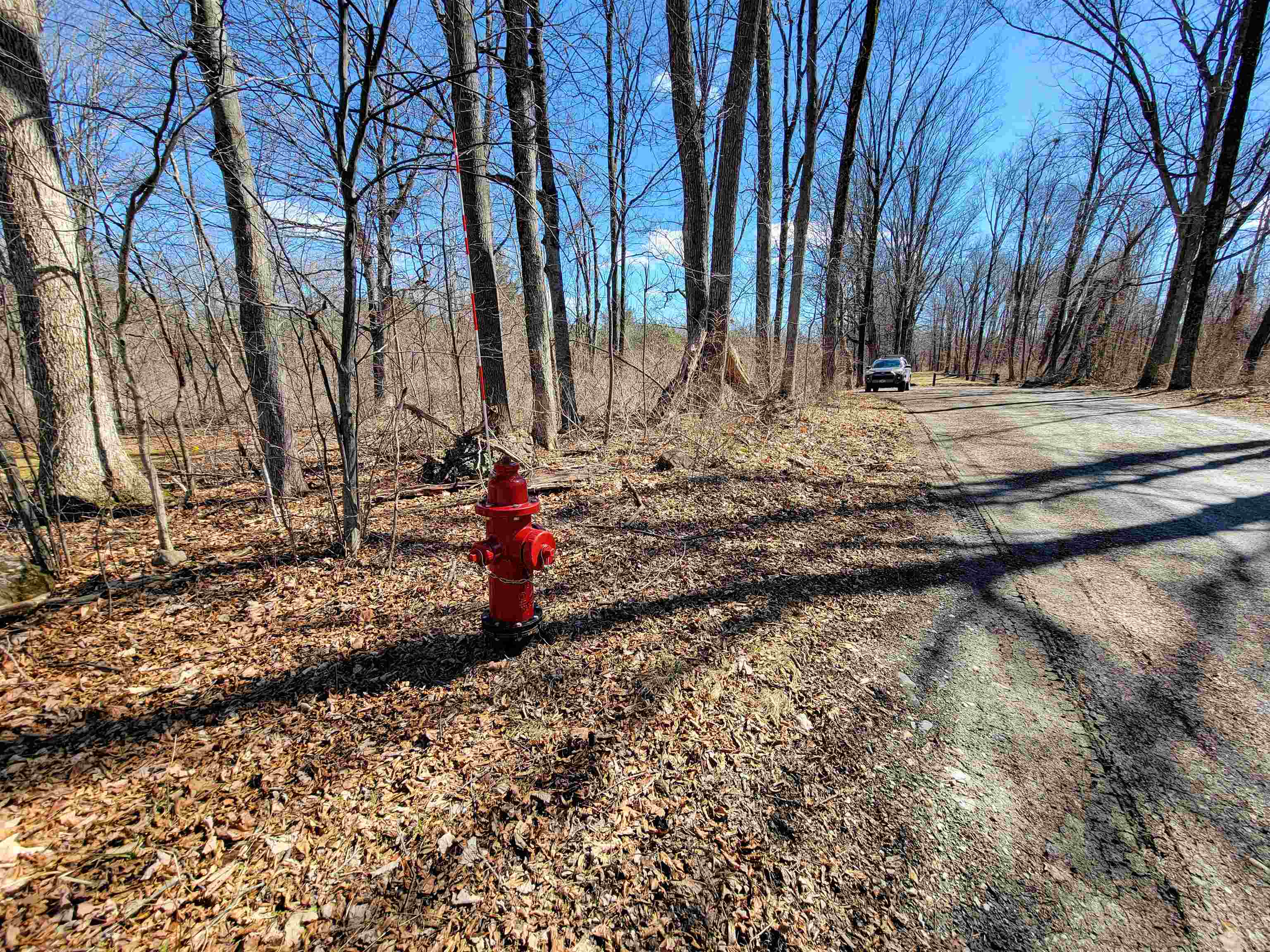 399 Bard Road photo 36