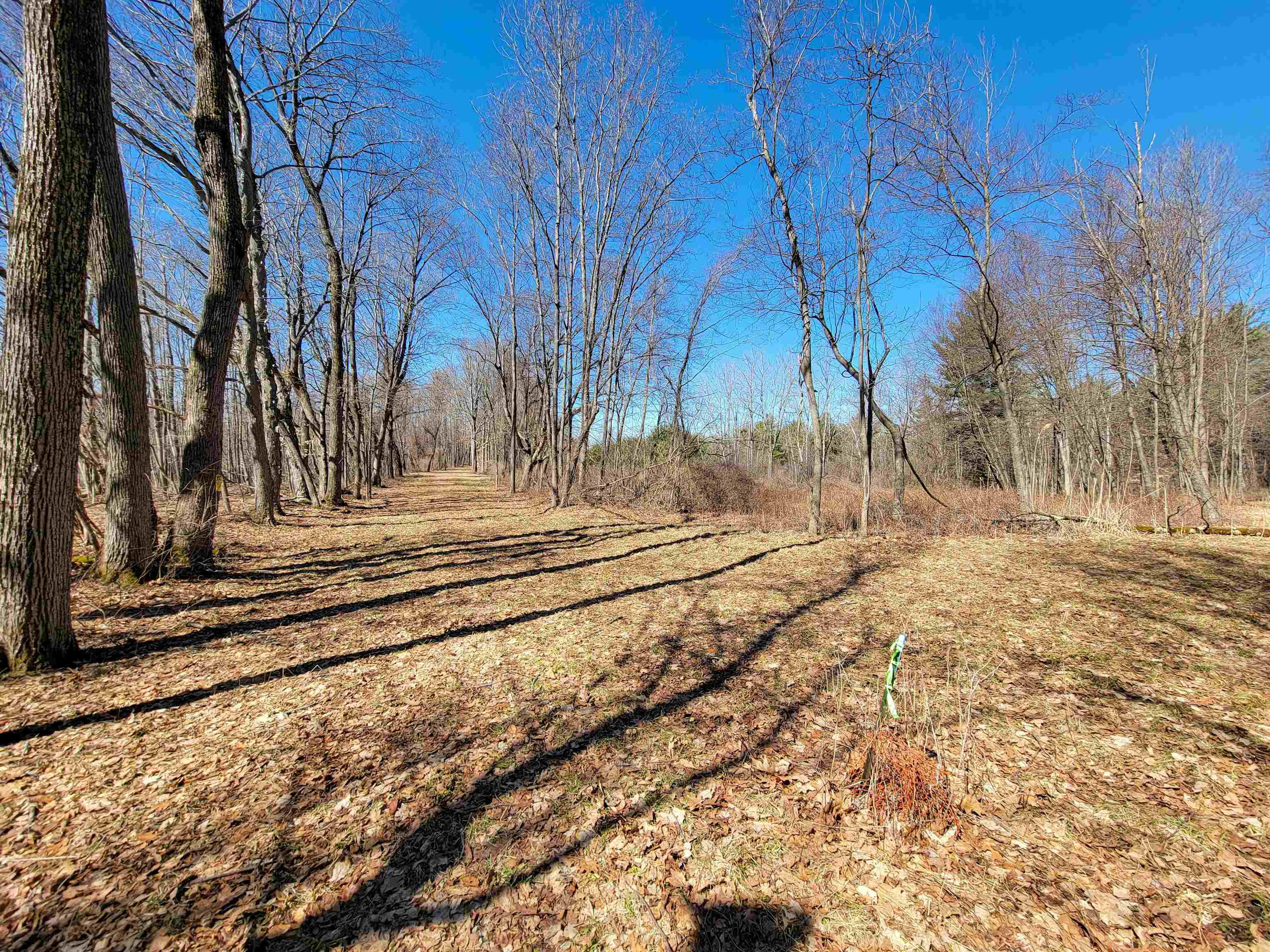 399 Bard Road photo 37