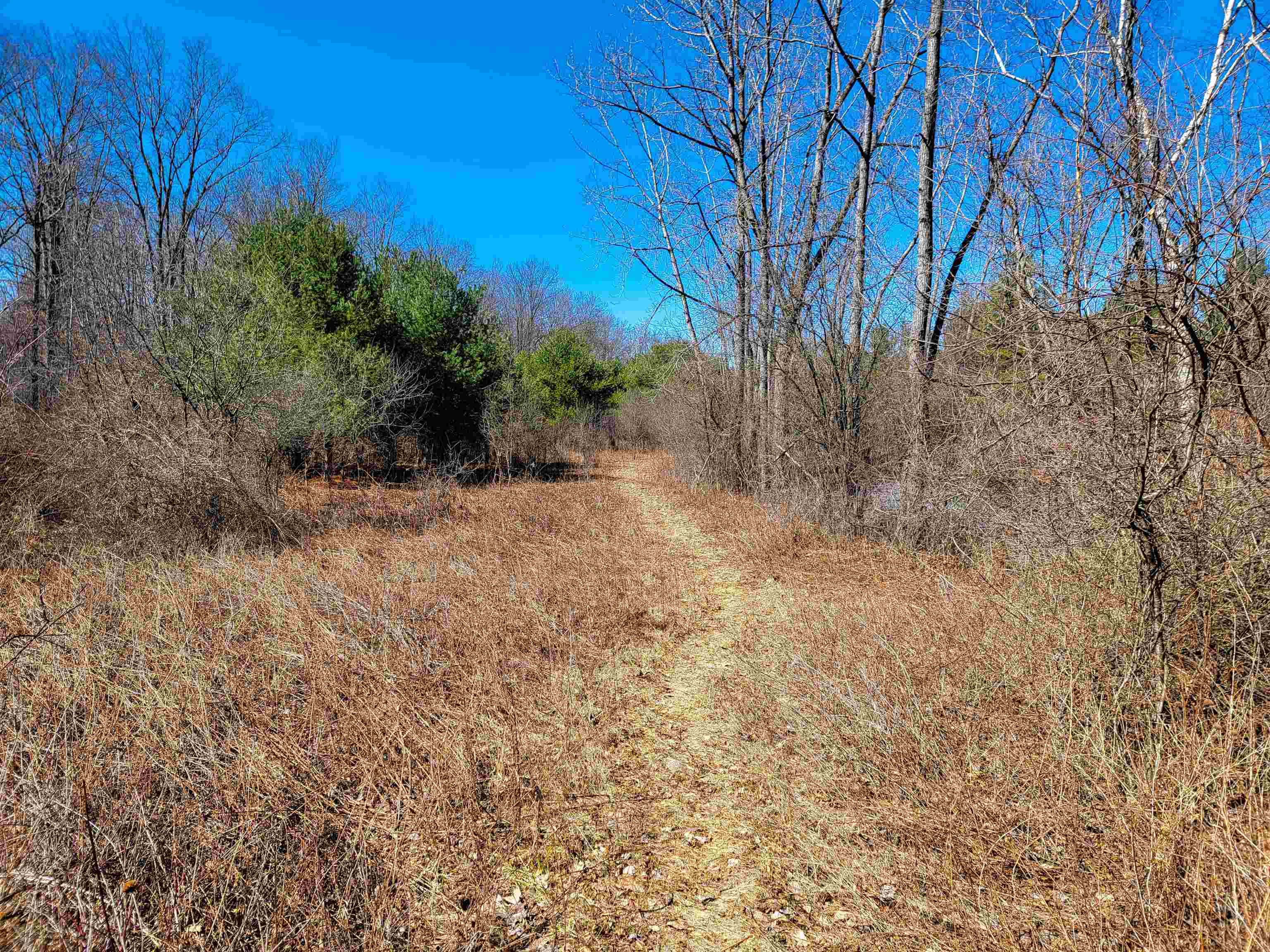 399 Bard Road photo 38