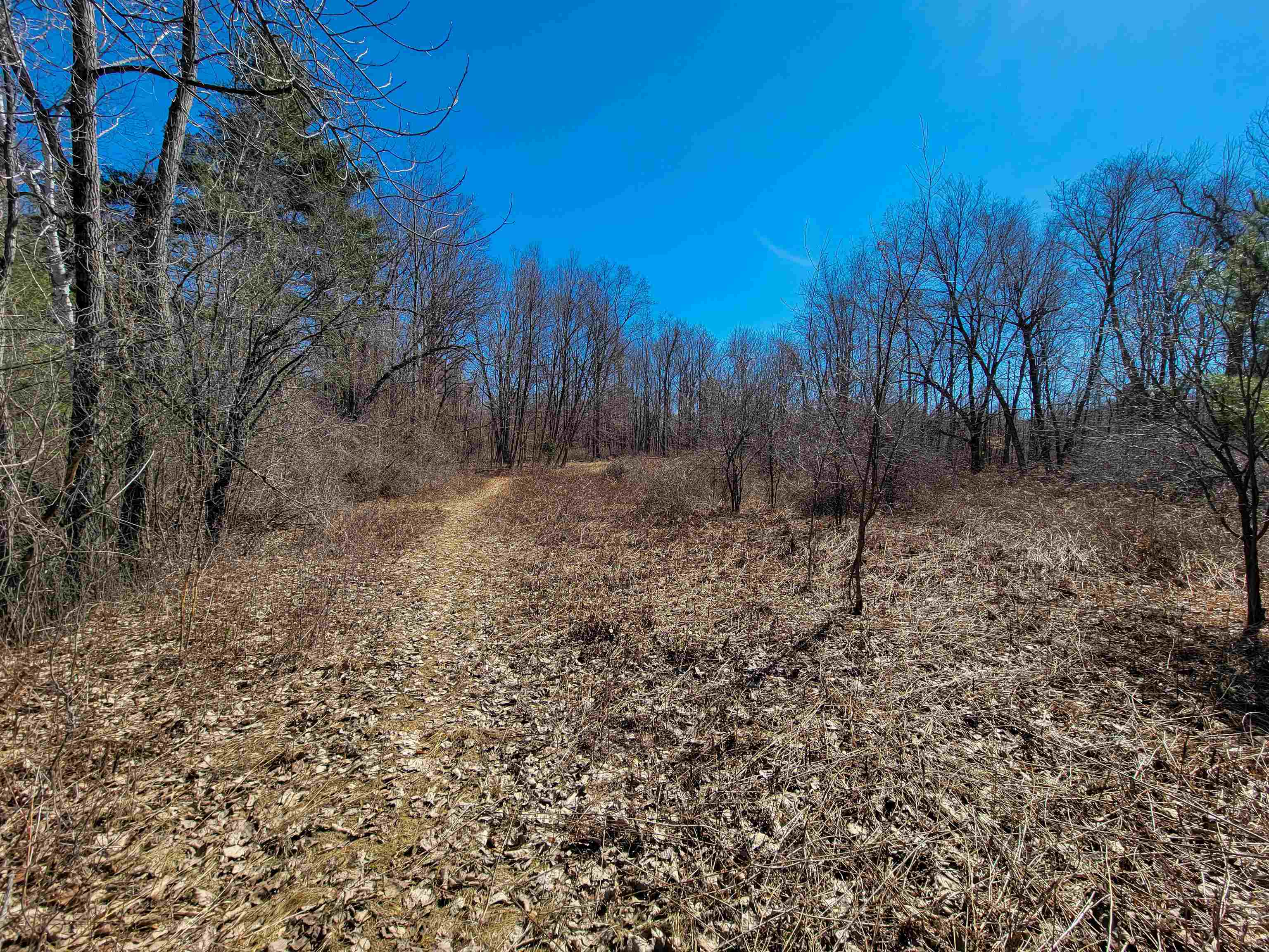 399 Bard Road photo 39