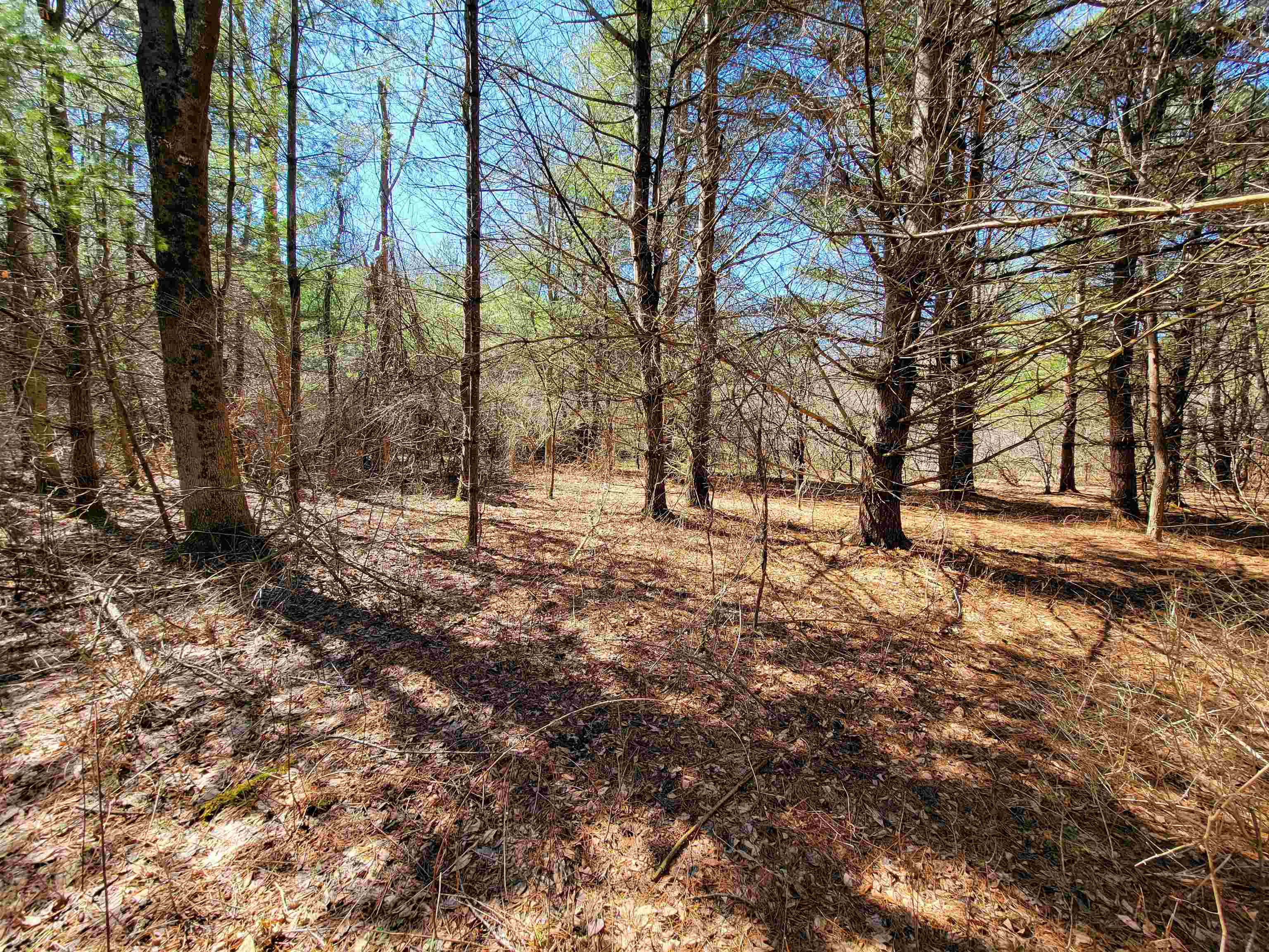 399 Bard Road photo 41