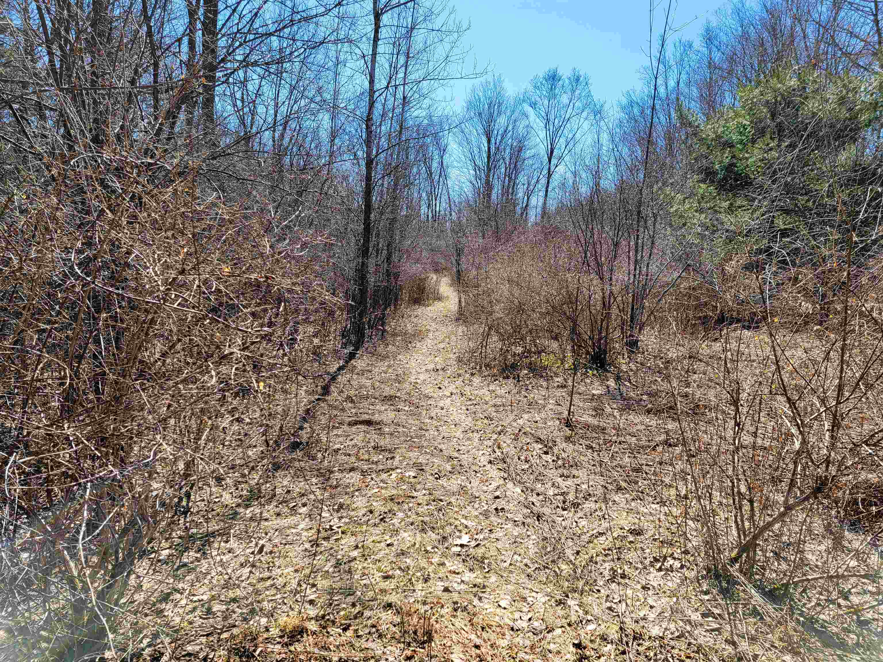 399 Bard Road photo 44
