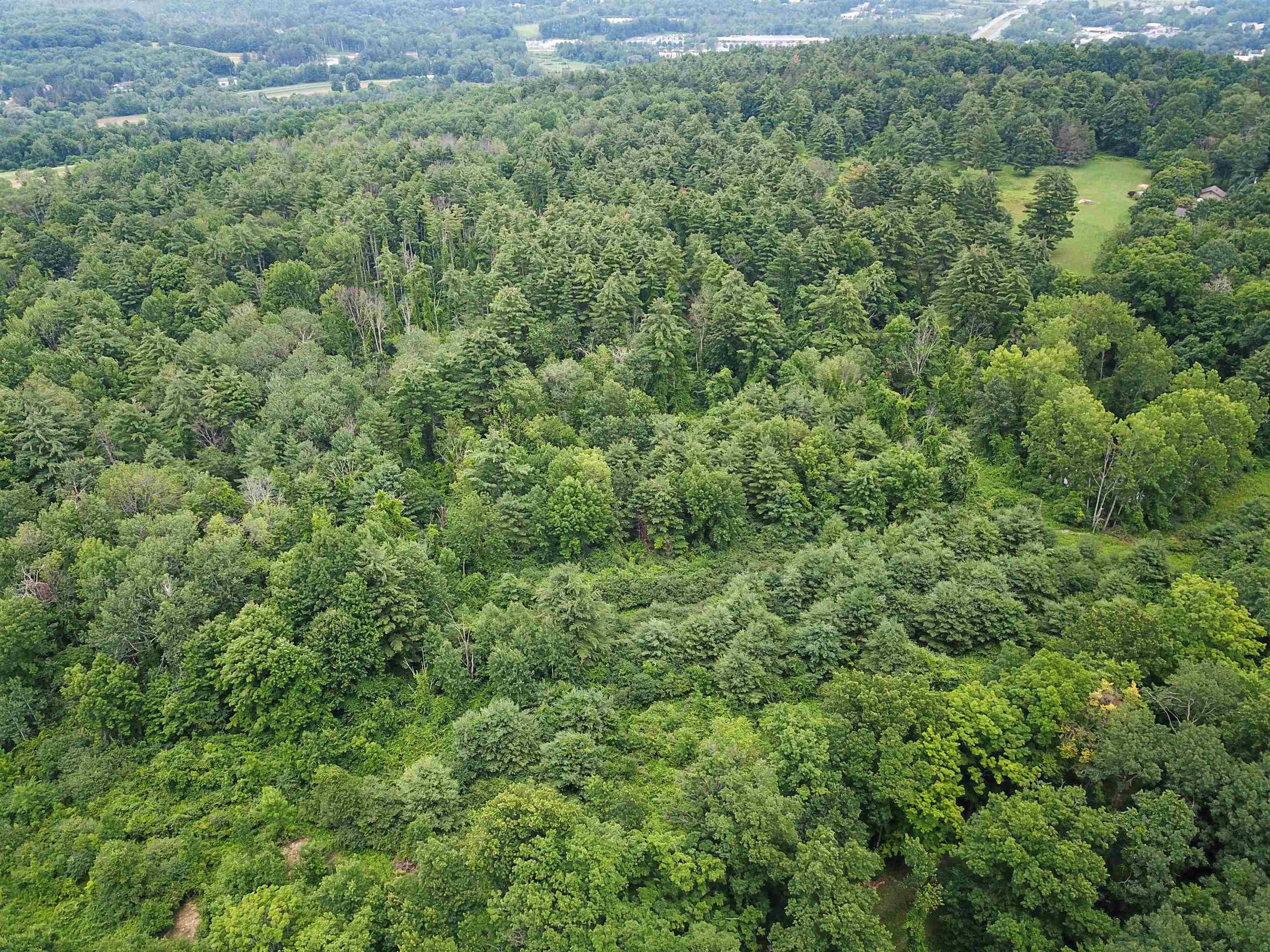 399 Bard Road photo 47