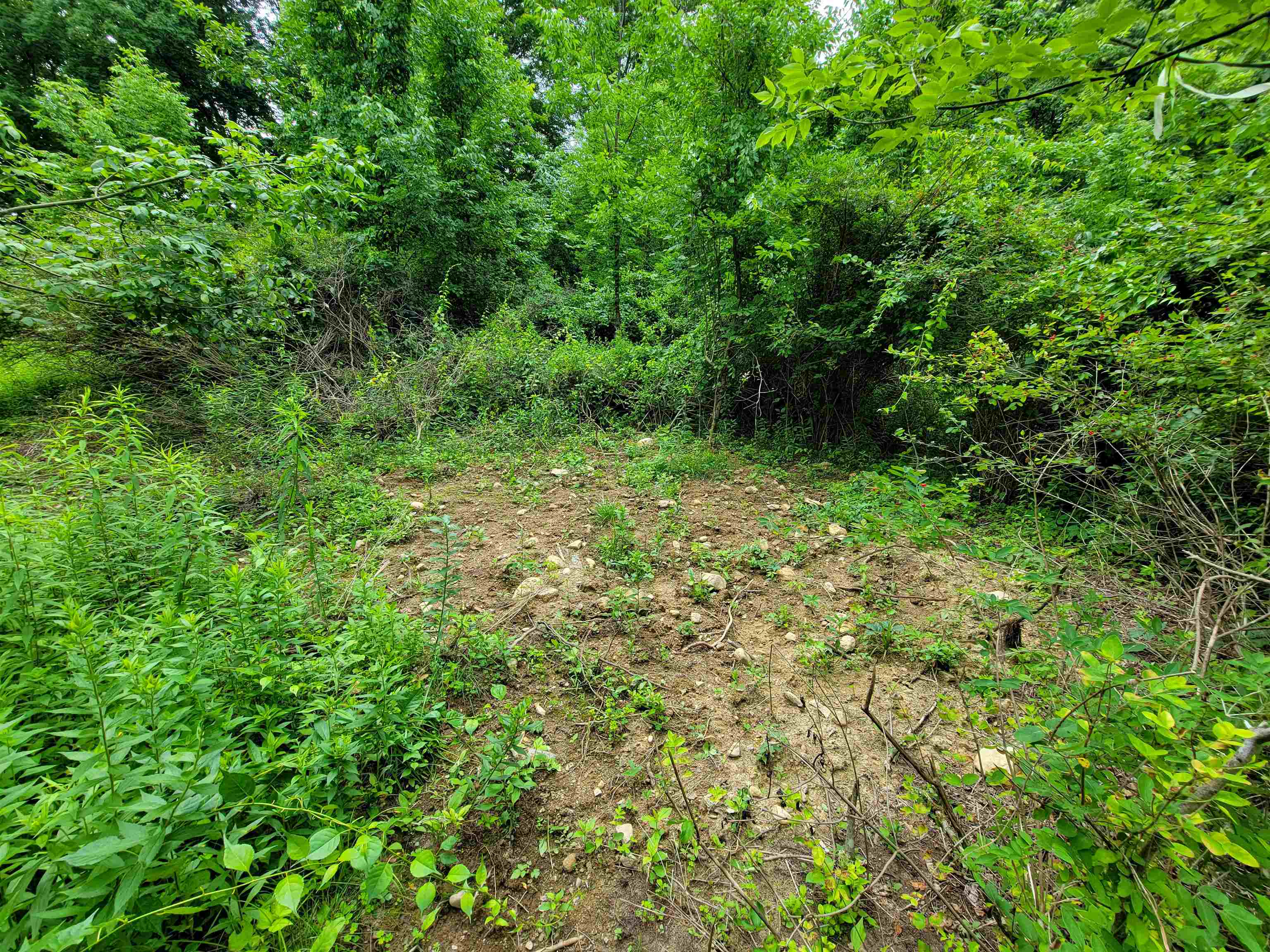399 Bard Road photo 48